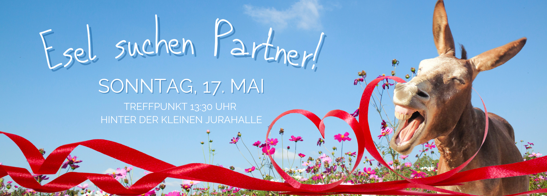 Esel suchen Partner