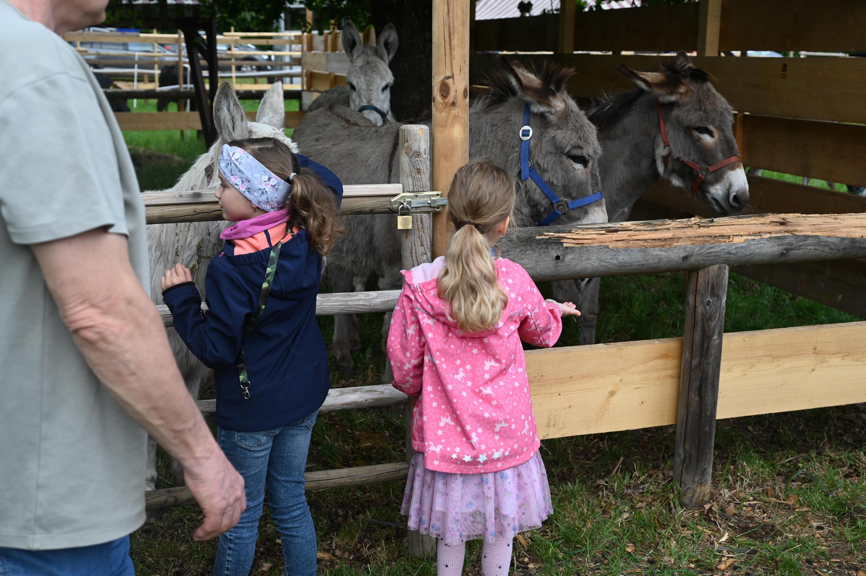 Frühlingsfest Tierschau 024