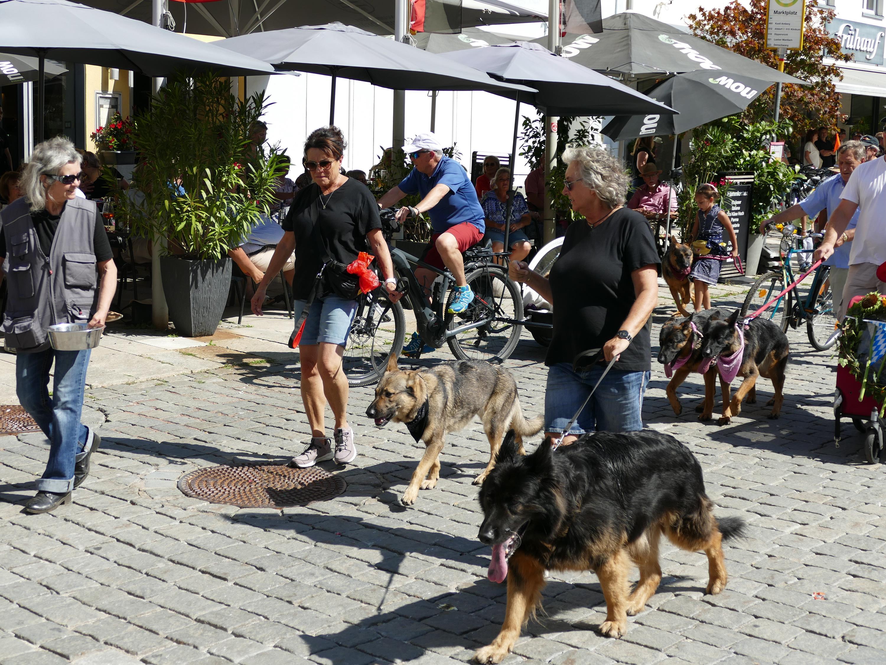 Impressionen Volksfestzug2025 (55)