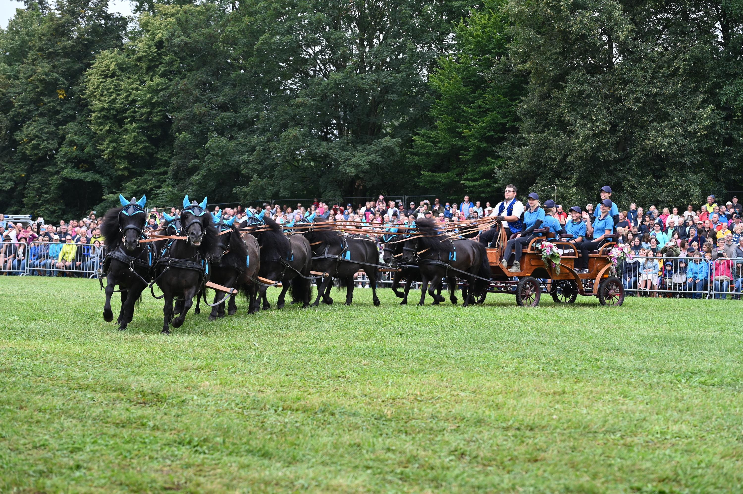 Volksfest 2024 Pferdeschau Mandel 54