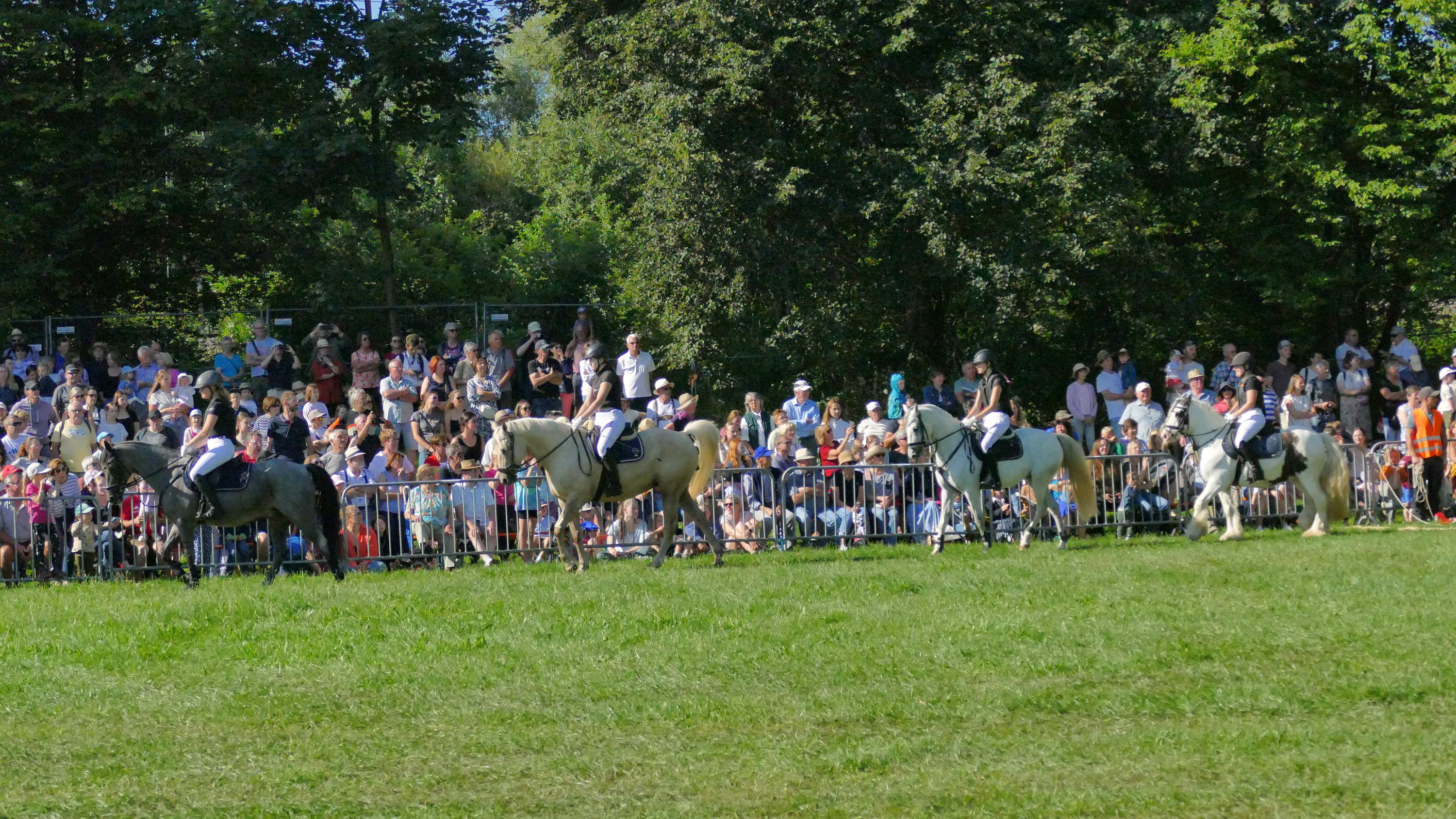 Impressionen Pferde Und Fohlenschau JURA Volksfest25 Niebler (1)