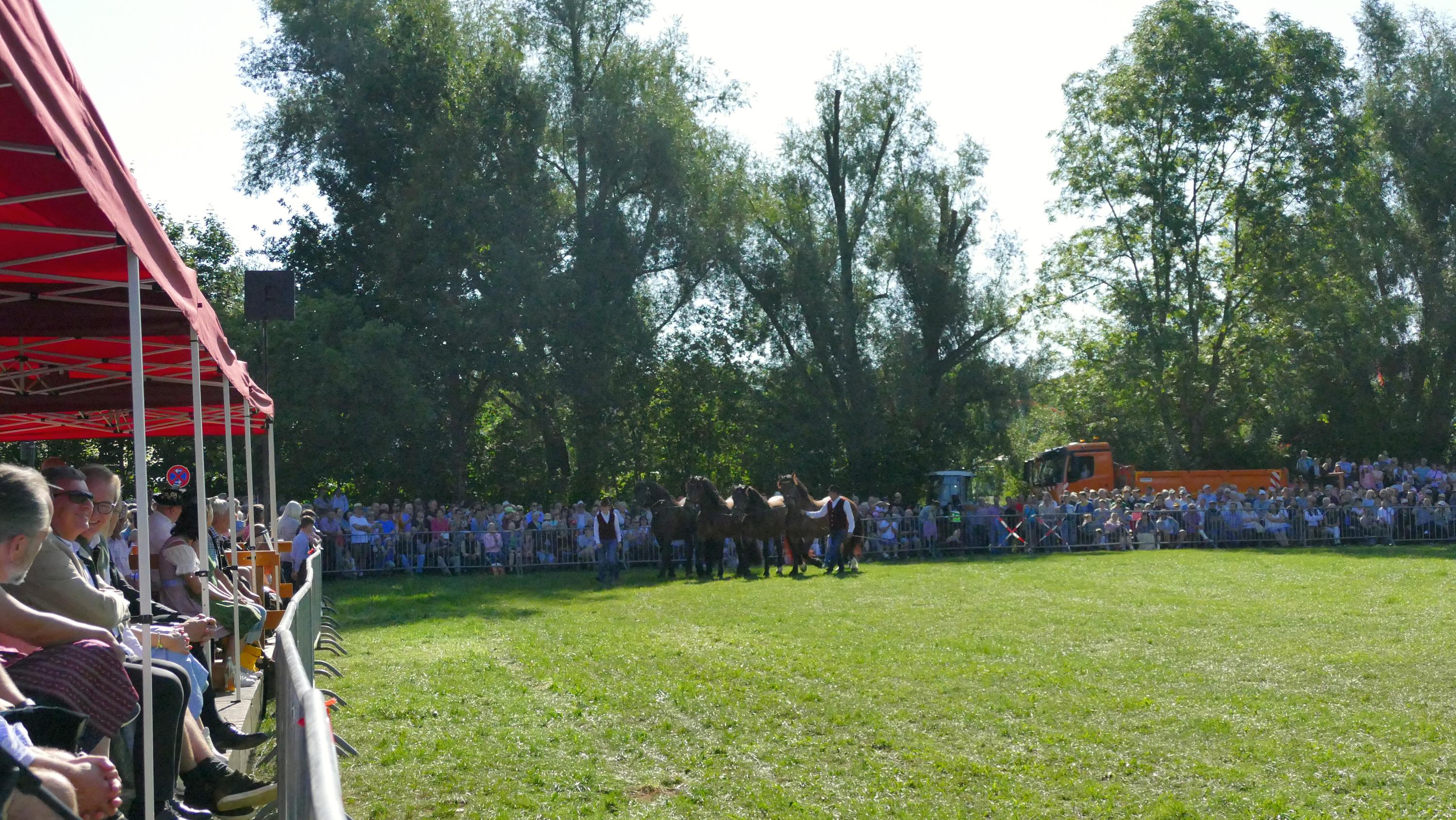 Impressionen Pferde Und Fohlenschau JURA Volksfest25 Niebler (4)