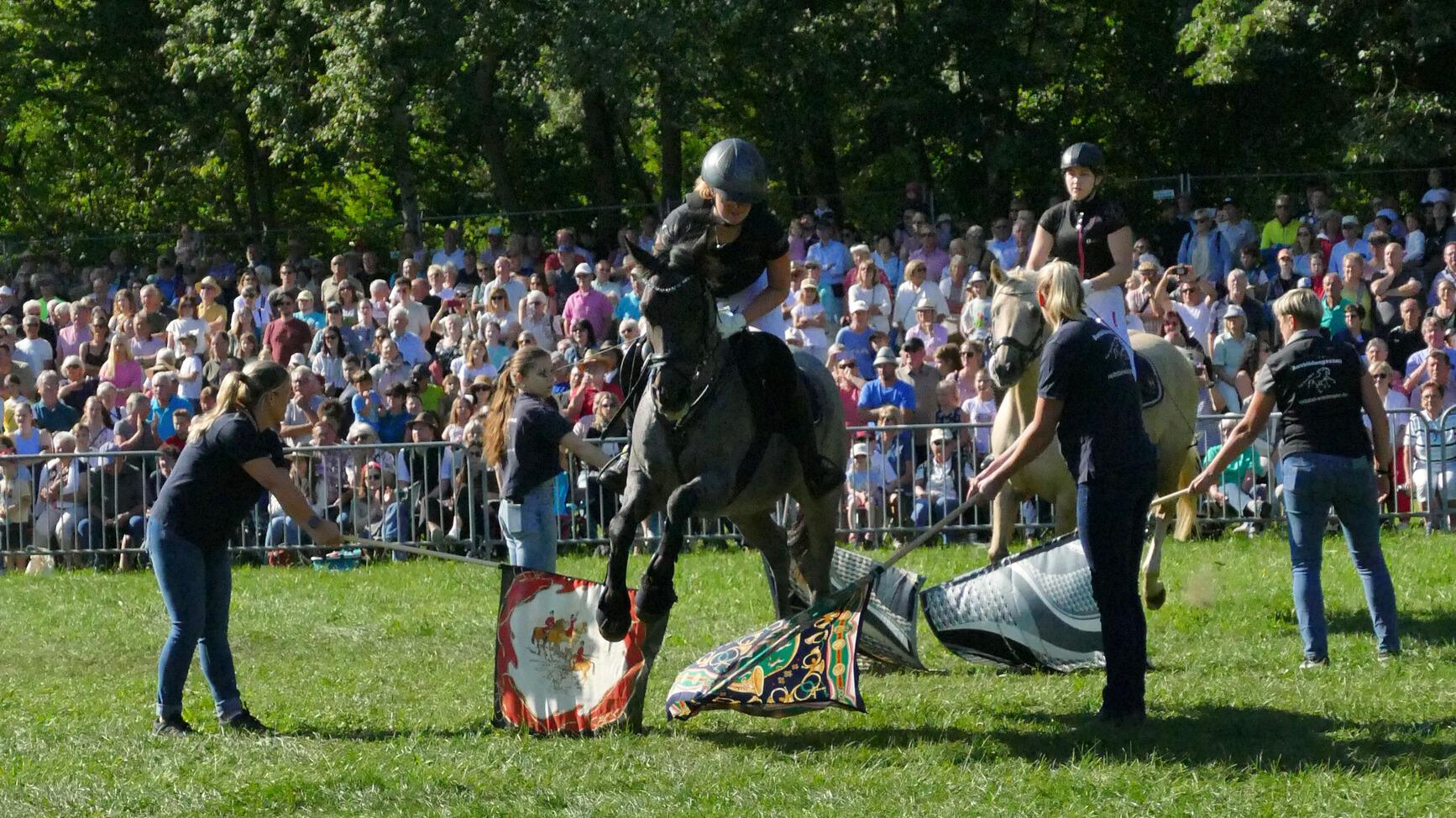 Impressionen Pferde Und Fohlenschau JURA Volksfest25 Niebler (5)