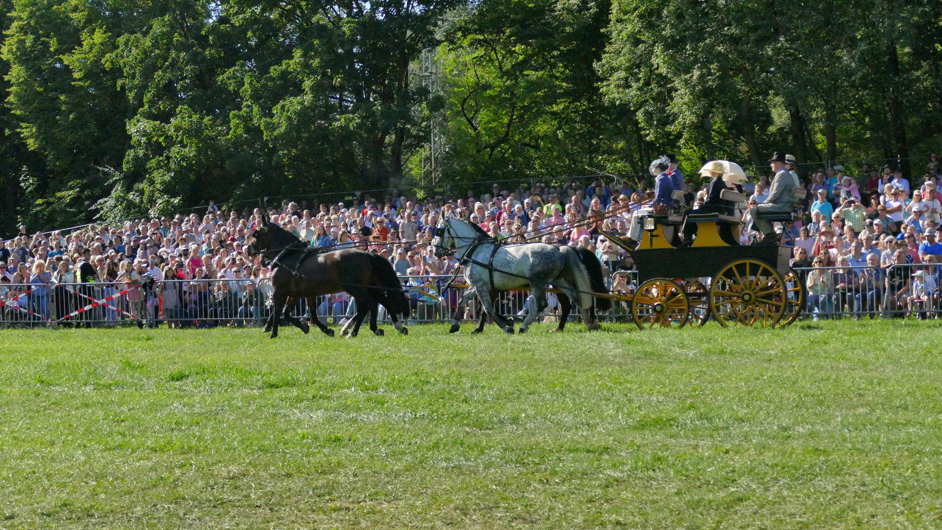 Impressionen Pferde Und Fohlenschau JURA Volksfest25 Niebler (10)