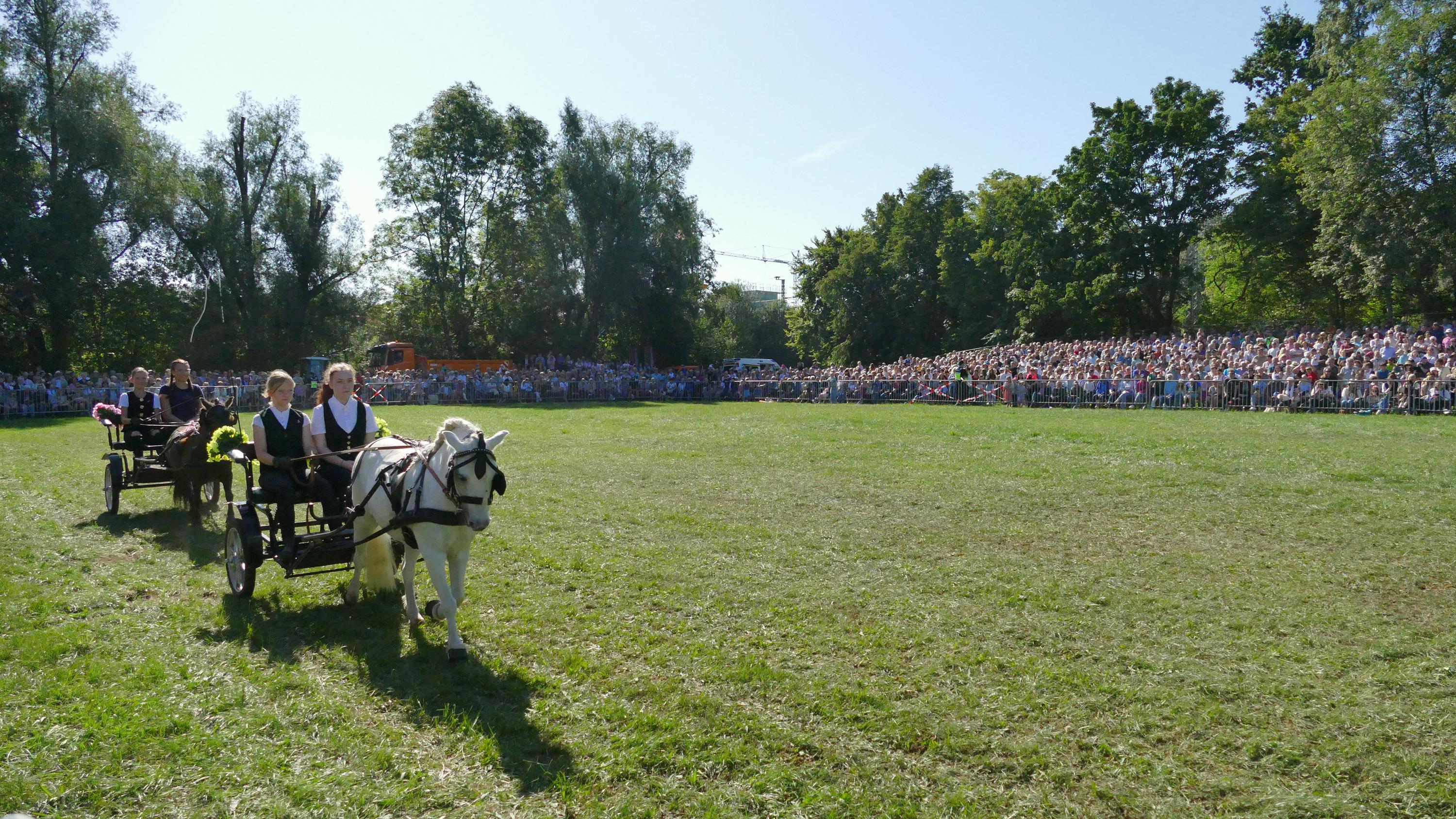 Impressionen Pferde Und Fohlenschau JURA Volksfest25 Niebler (28)
