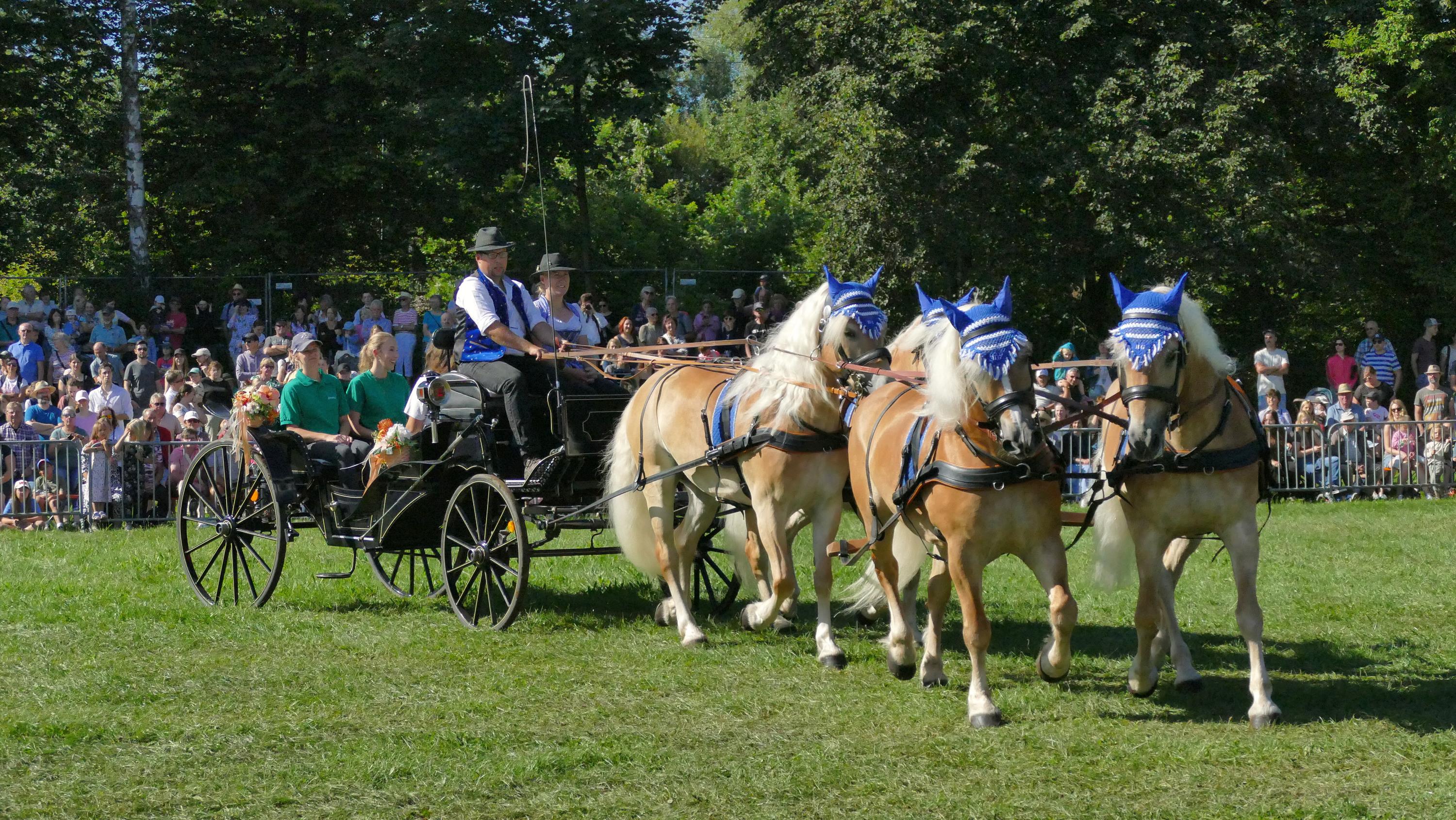 Impressionen Pferde Und Fohlenschau JURA Volksfest25 Niebler (31)