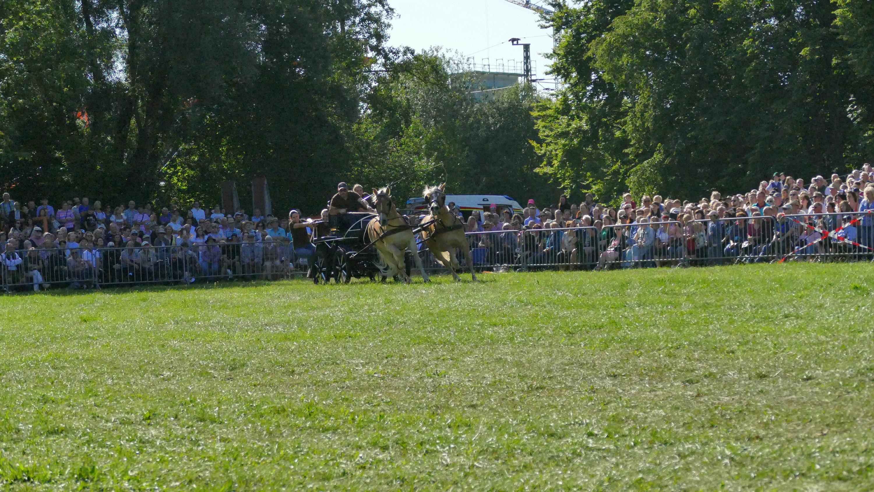 Impressionen Pferde Und Fohlenschau JURA Volksfest25 Niebler (35)