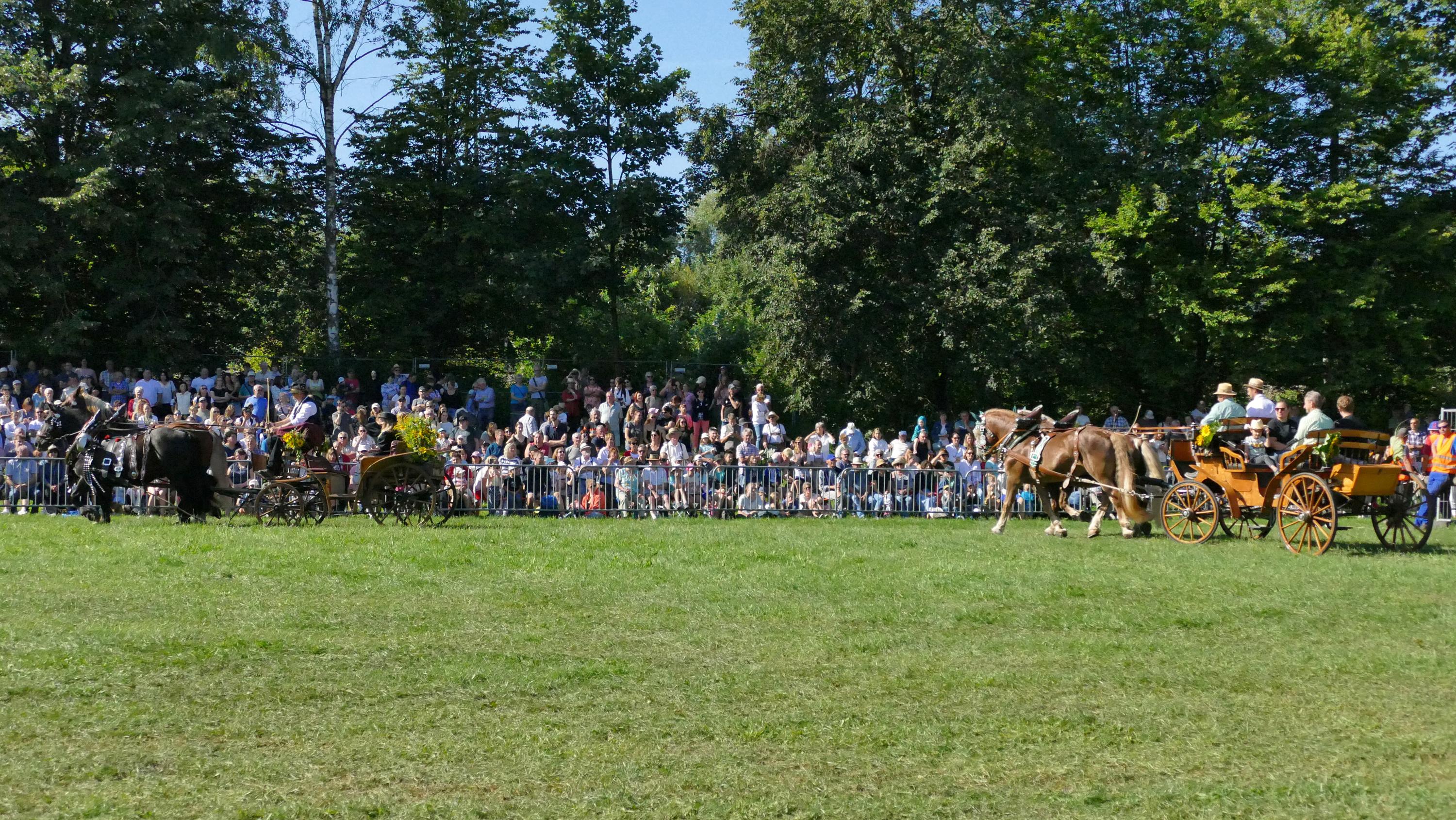 Impressionen Pferde Und Fohlenschau JURA Volksfest25 Niebler (42)
