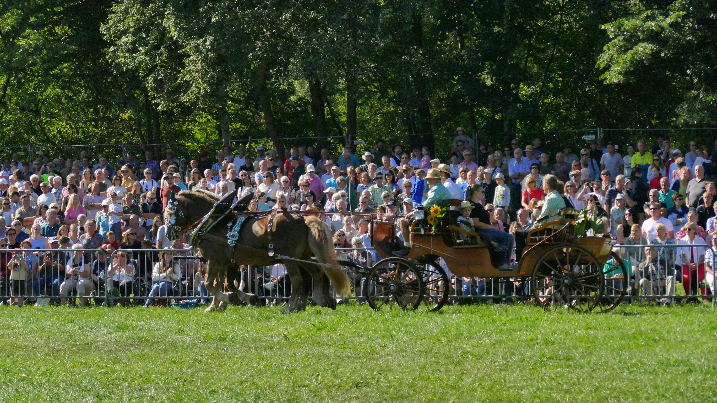 Impressionen Pferde Und Fohlenschau JURA Volksfest25 Niebler (43)