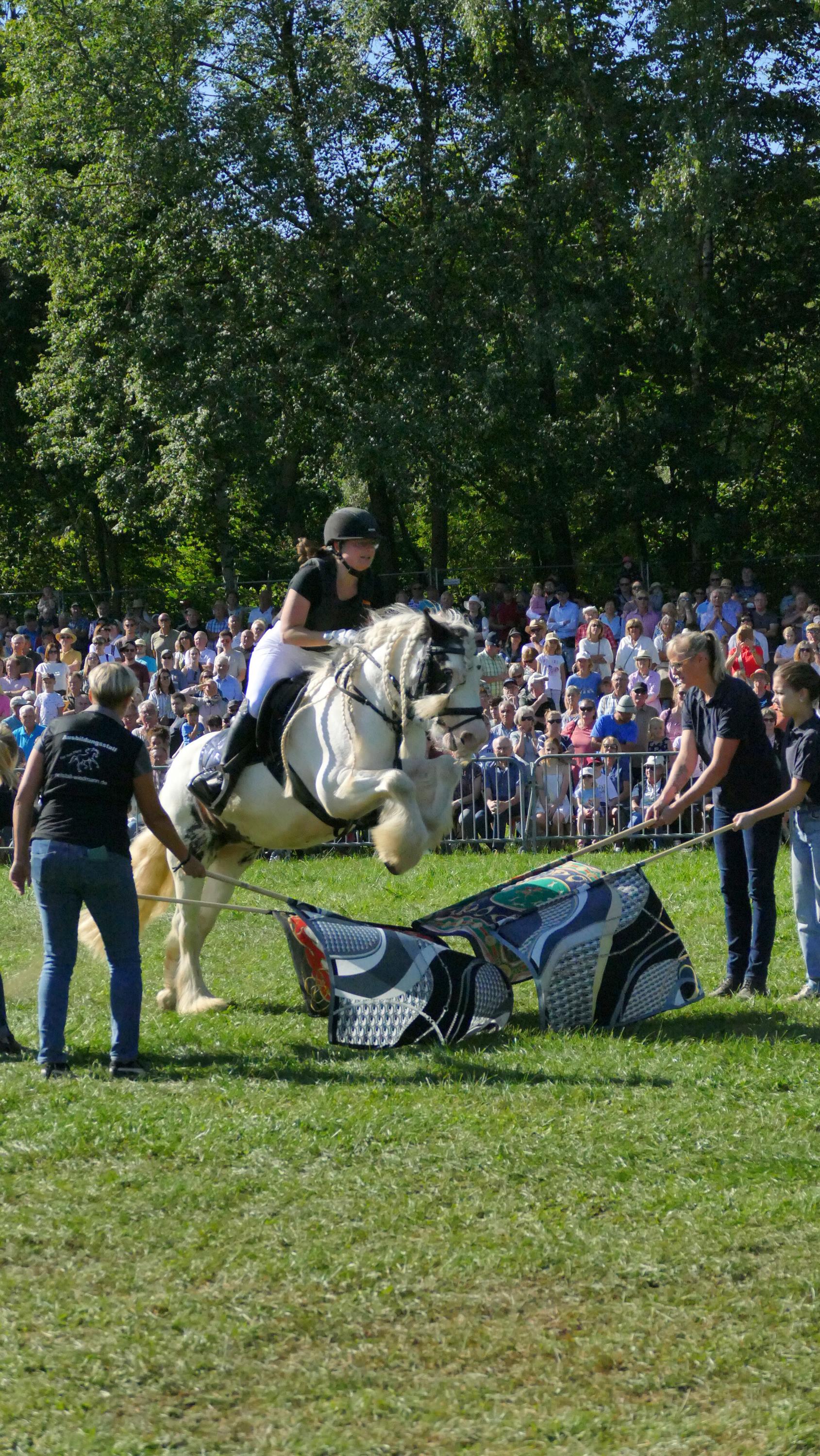Impressionen Pferde Und Fohlenschau JURA Volksfest25 Niebler (50)