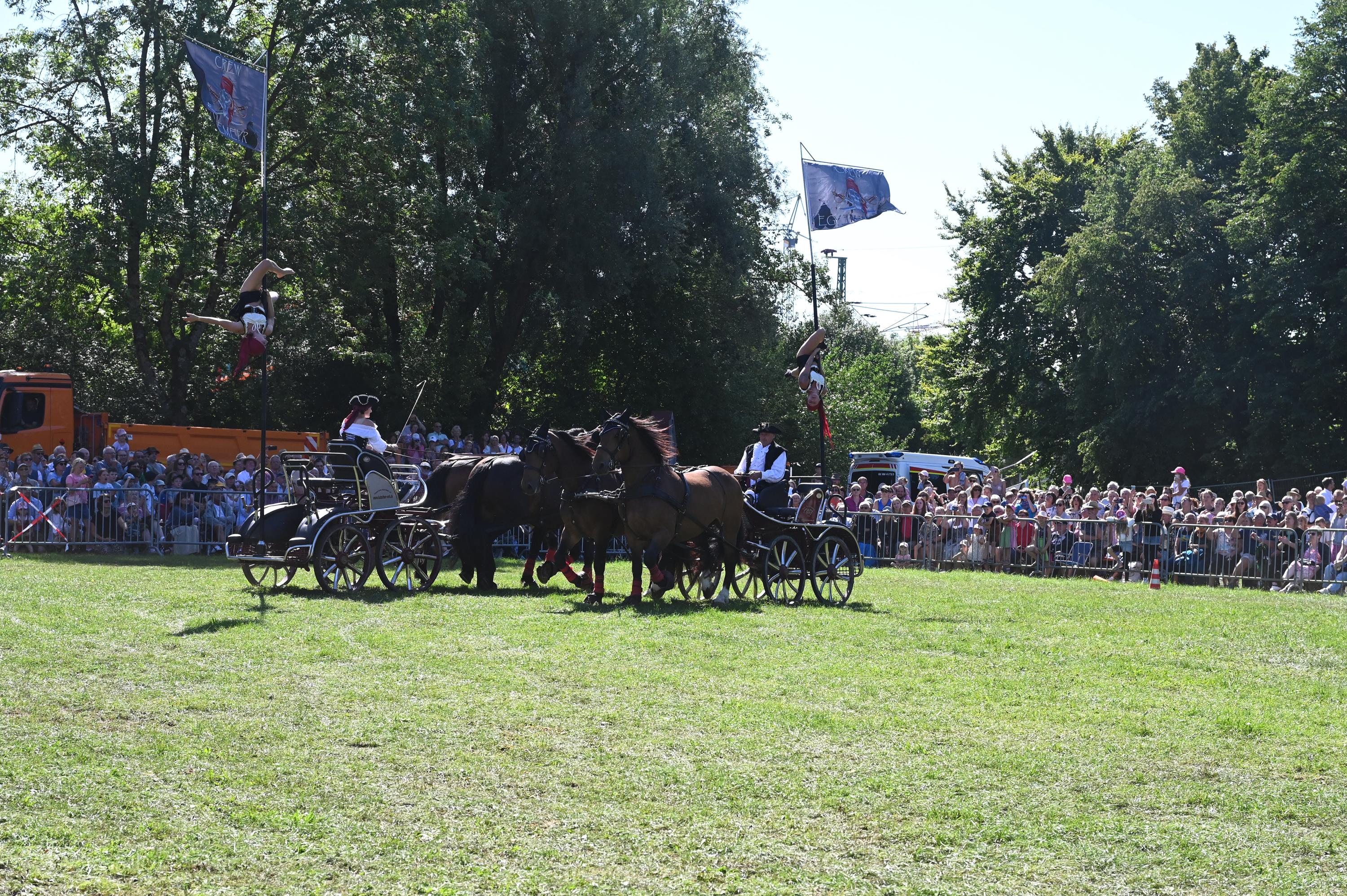 Impressionen Pferde Und Fohlenschau JURA Volksfest25 Mandel (18)