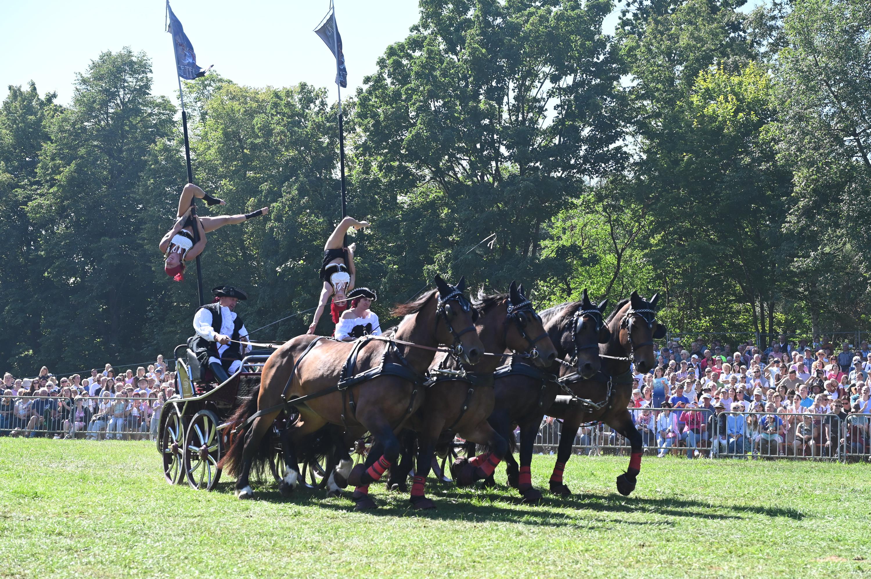 Impressionen Pferde Und Fohlenschau JURA Volksfest25 Mandel (19)