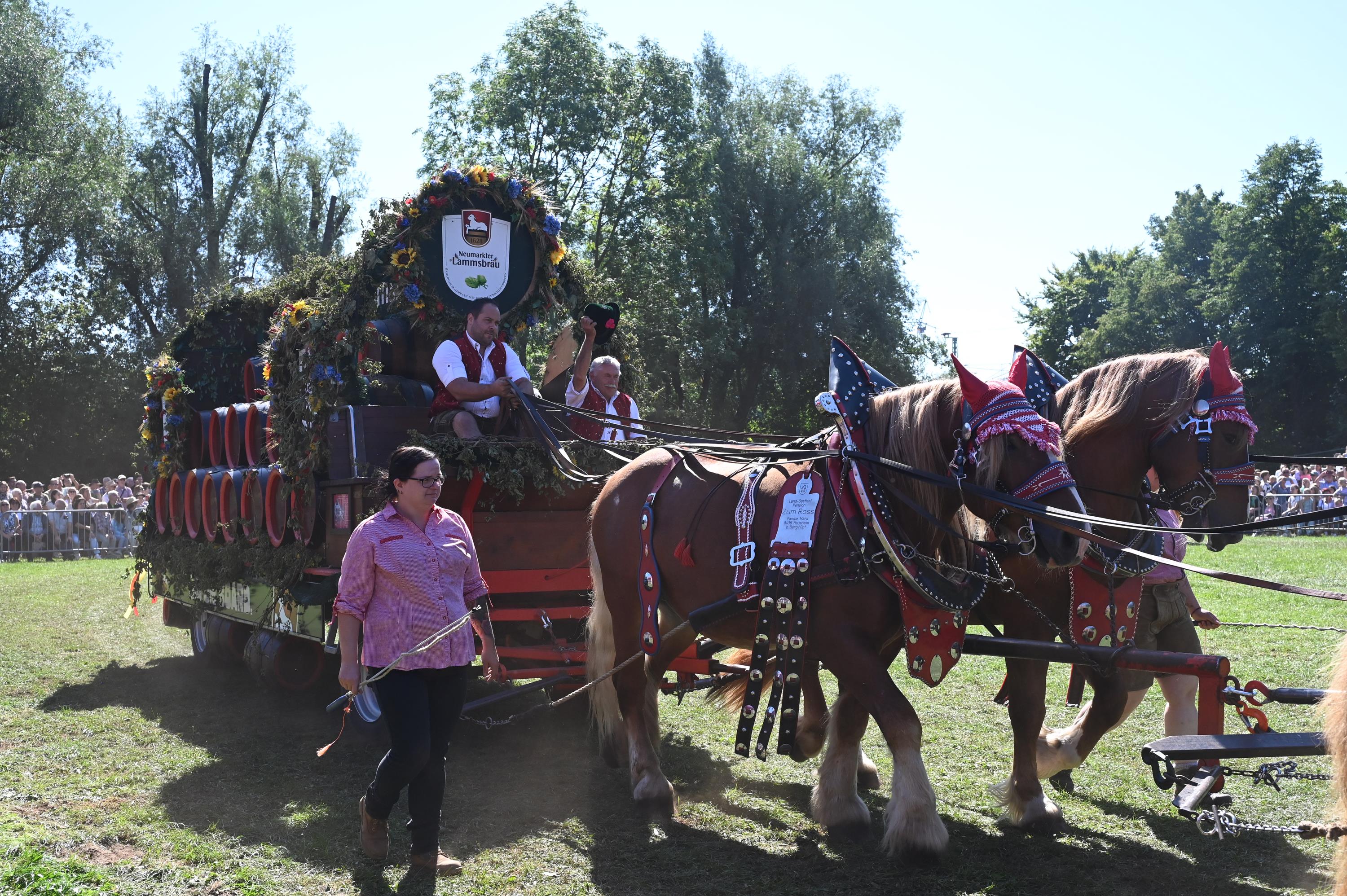 Impressionen Pferde Und Fohlenschau JURA Volksfest25 Mandel (20)