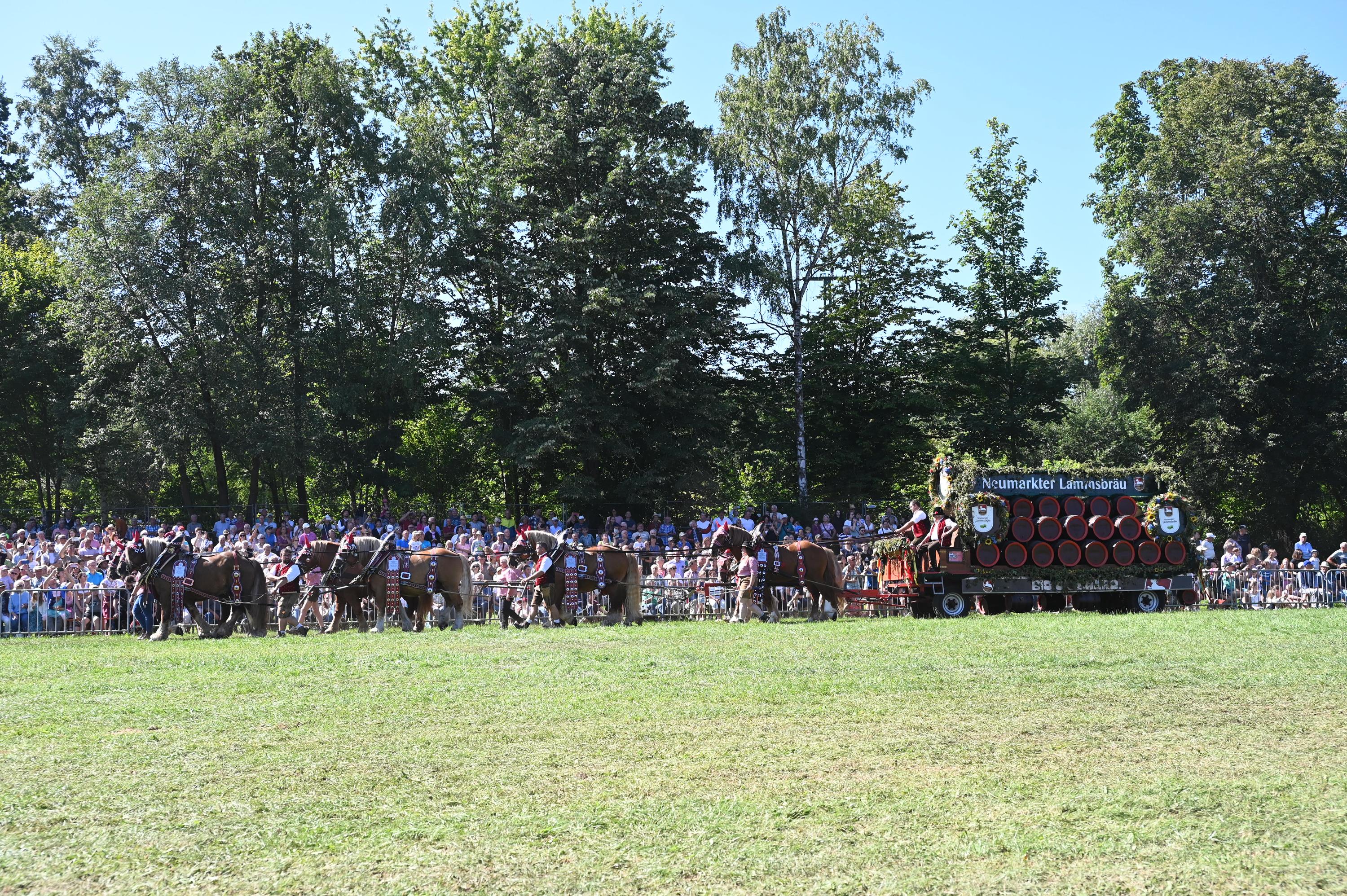Impressionen Pferde Und Fohlenschau JURA Volksfest25 Mandel (21)