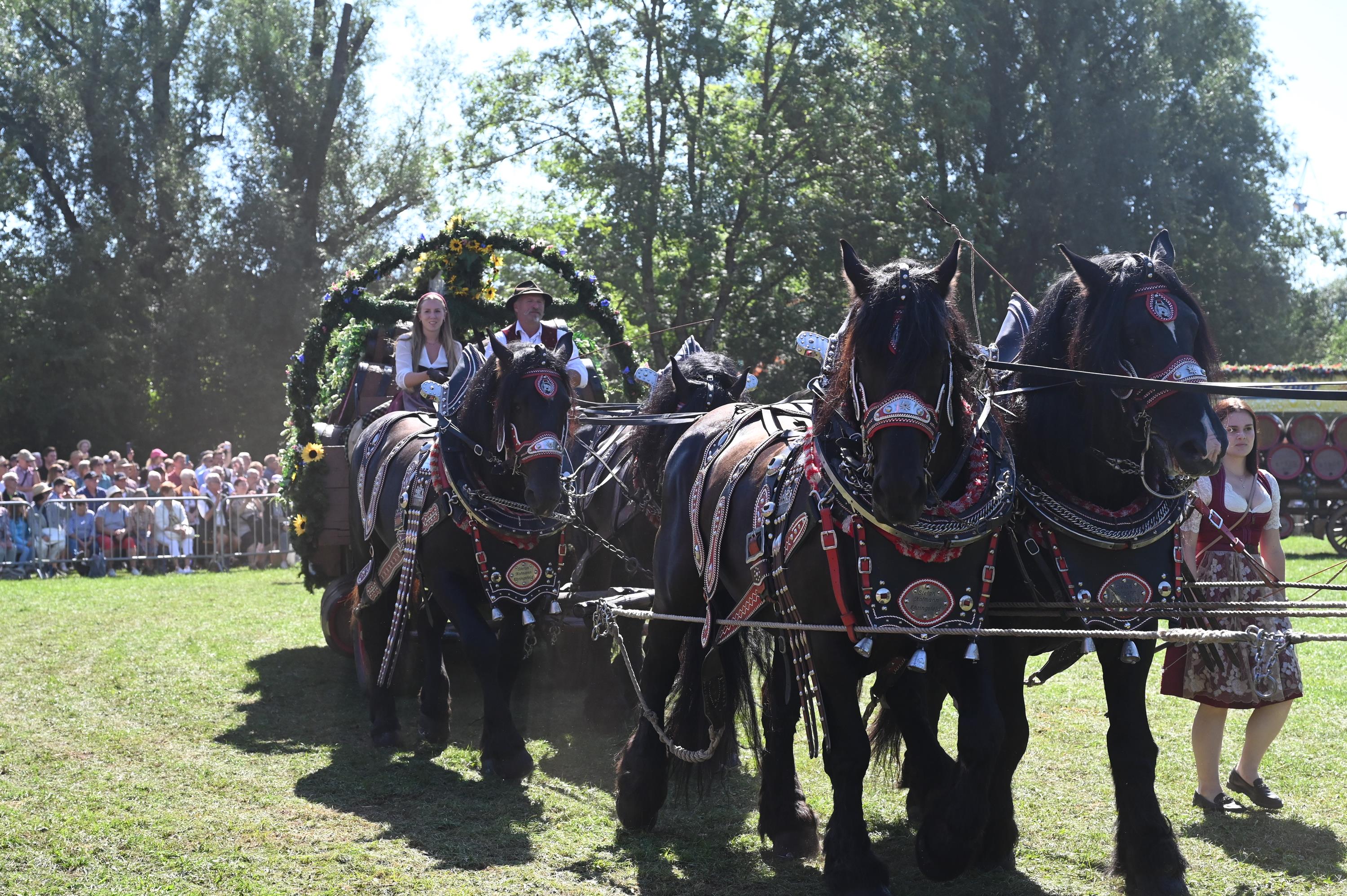Impressionen Pferde Und Fohlenschau JURA Volksfest25 Mandel (22)