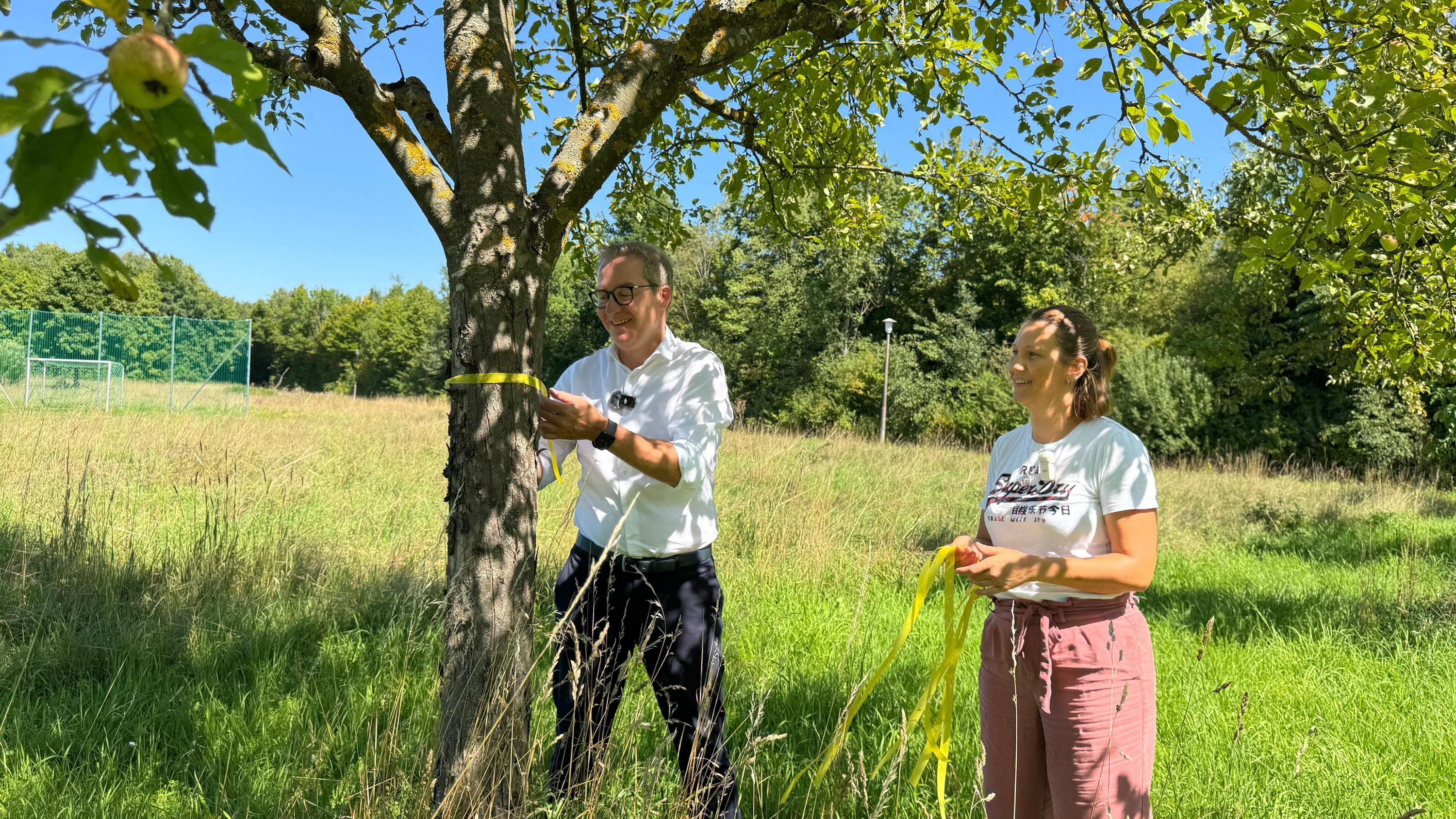 Gelbes Band: Hier ist Obst ernten erlaubt