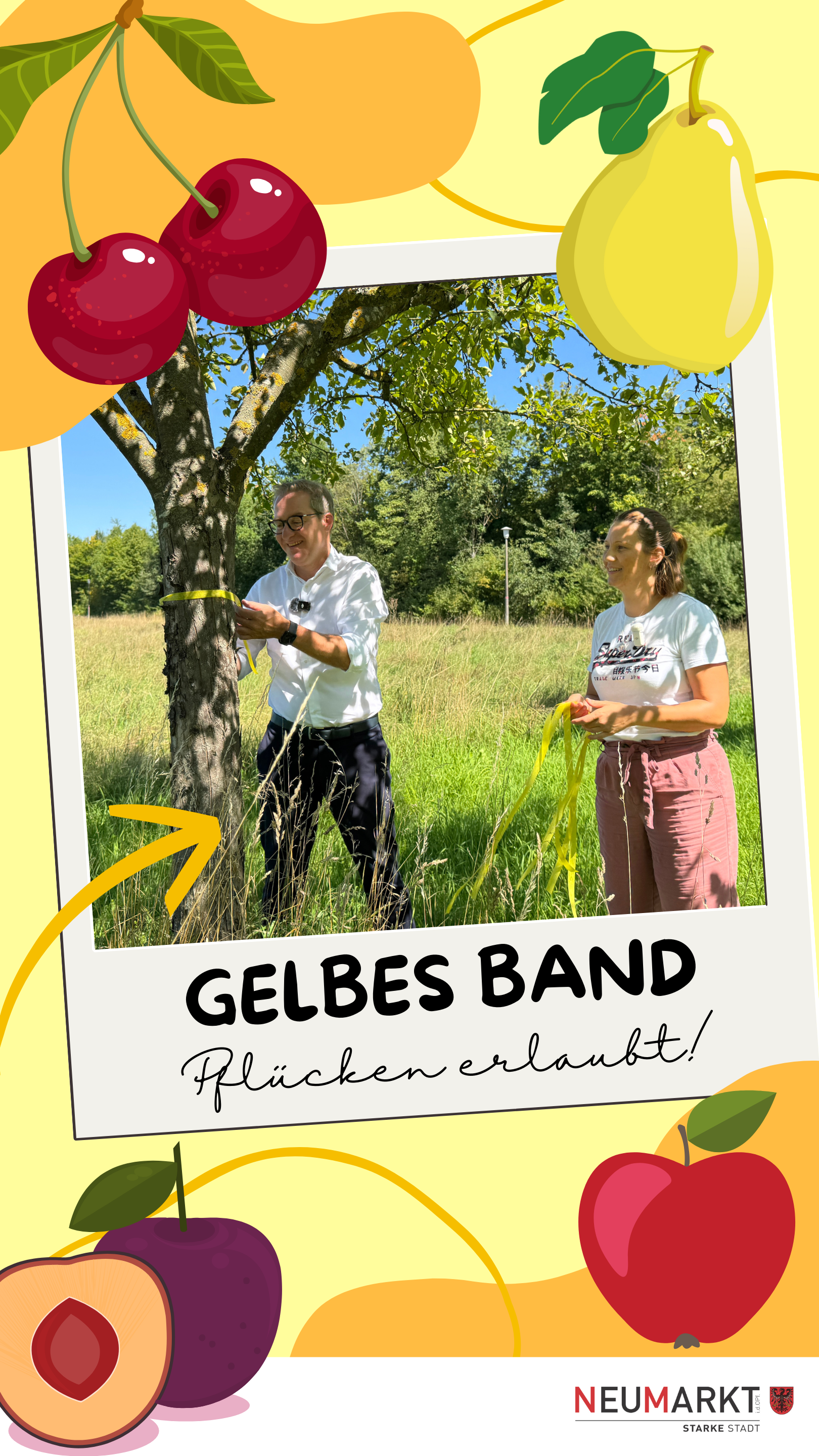 Durch einen Klick geht es zum Video!