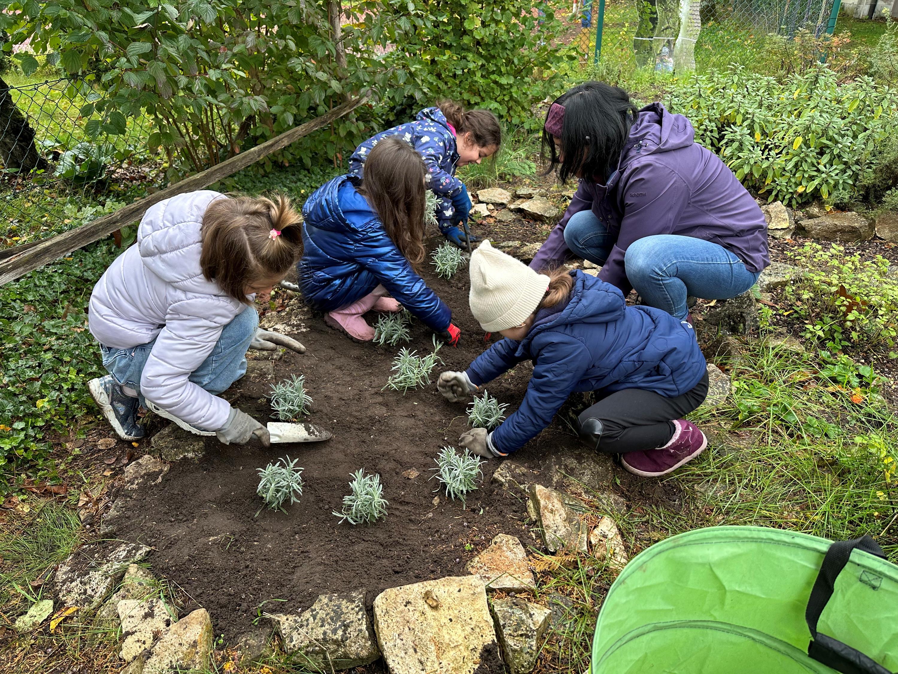 Gartenprojekt Keiko Schauer Gartenprojekt Keiko Schauer