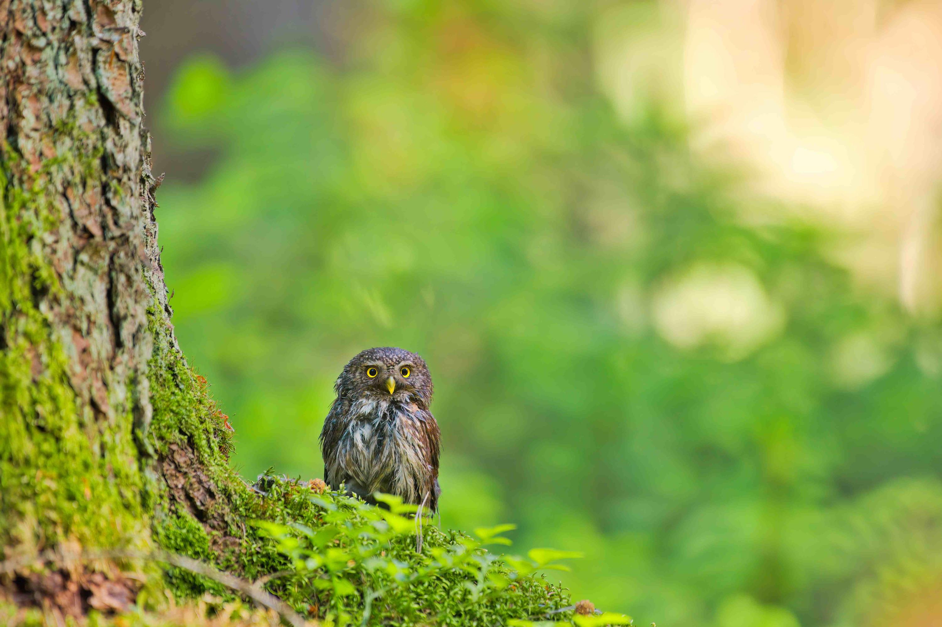 Lösungen für eine nachhaltige Welt und Mut für Wandel