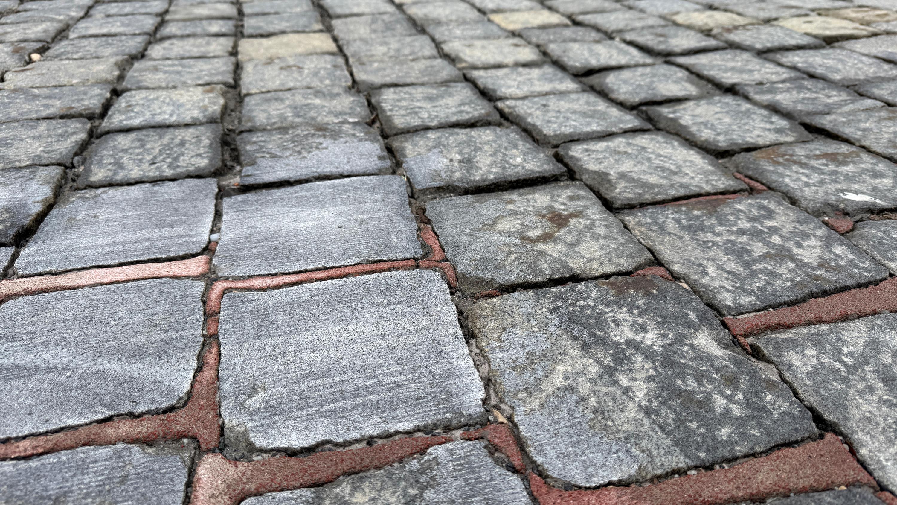 Fotos: Lisa Niebler/Stadt Neumarkt