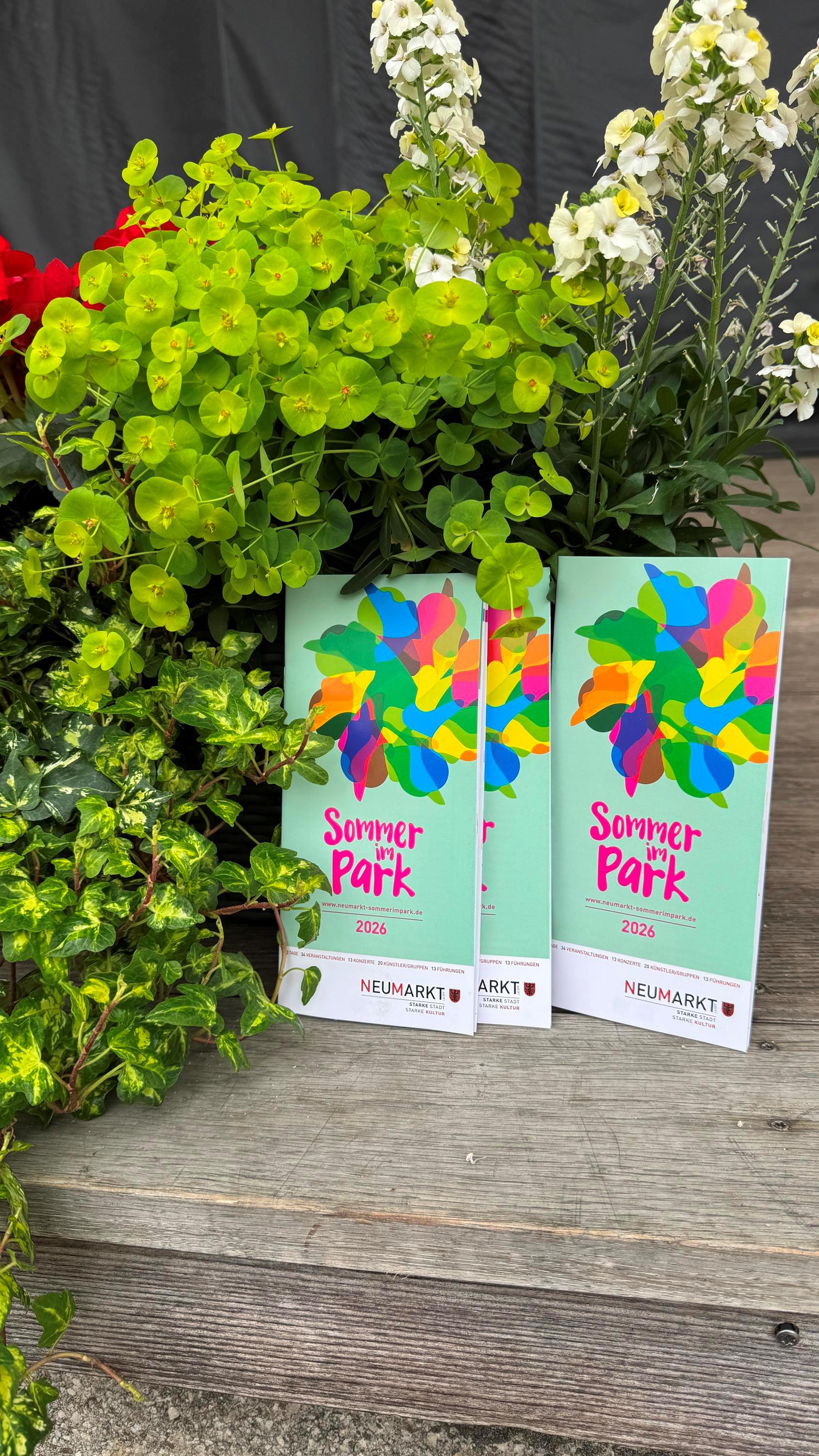 Programmvorstellung Sommer Im Park2