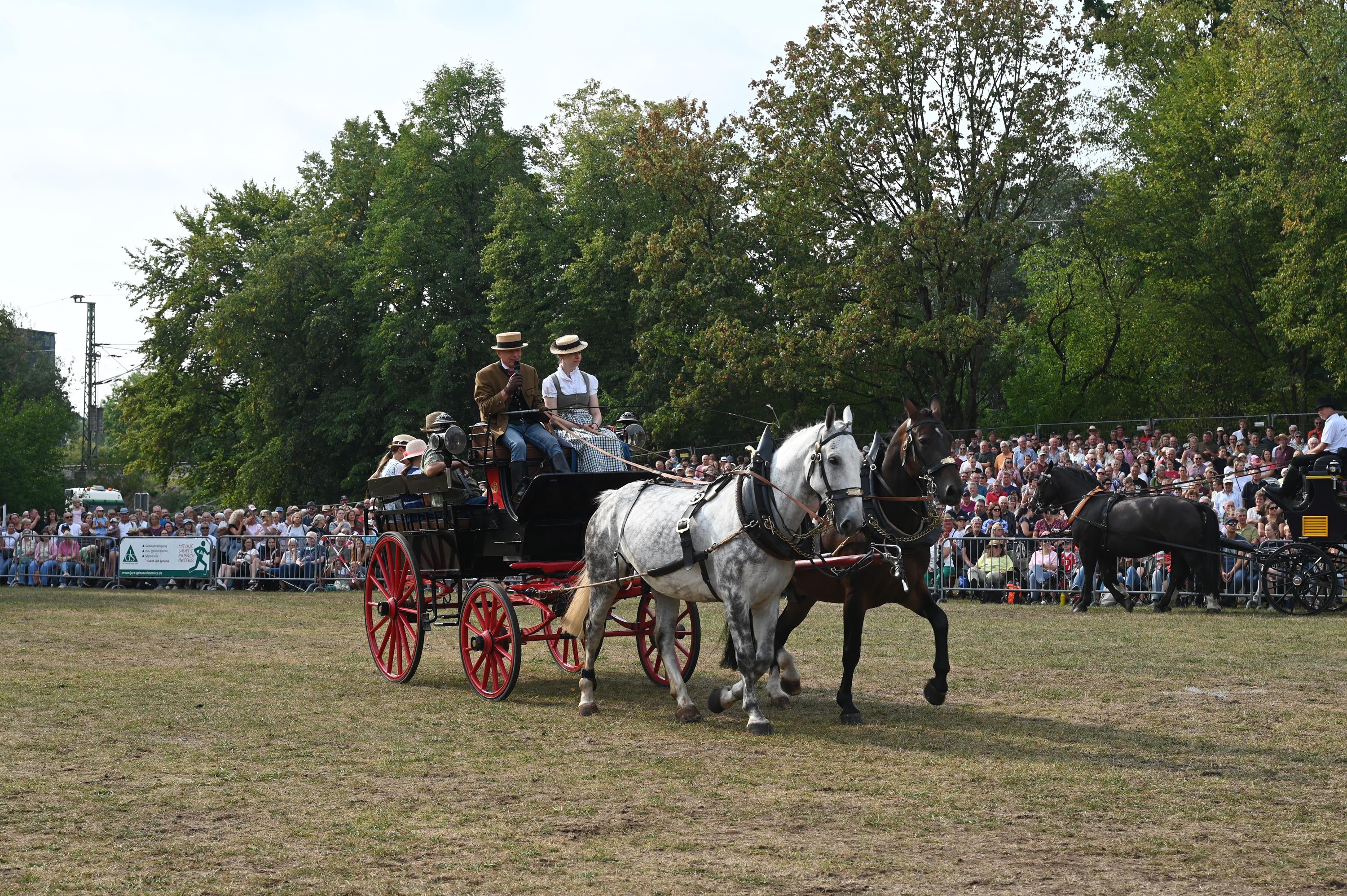 DSC 4022