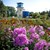 CD 541 016 Malter.jpg CD 541 016 Malter.jpg