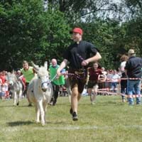 Frühlingsfest 2018, Eselrennen.jpg