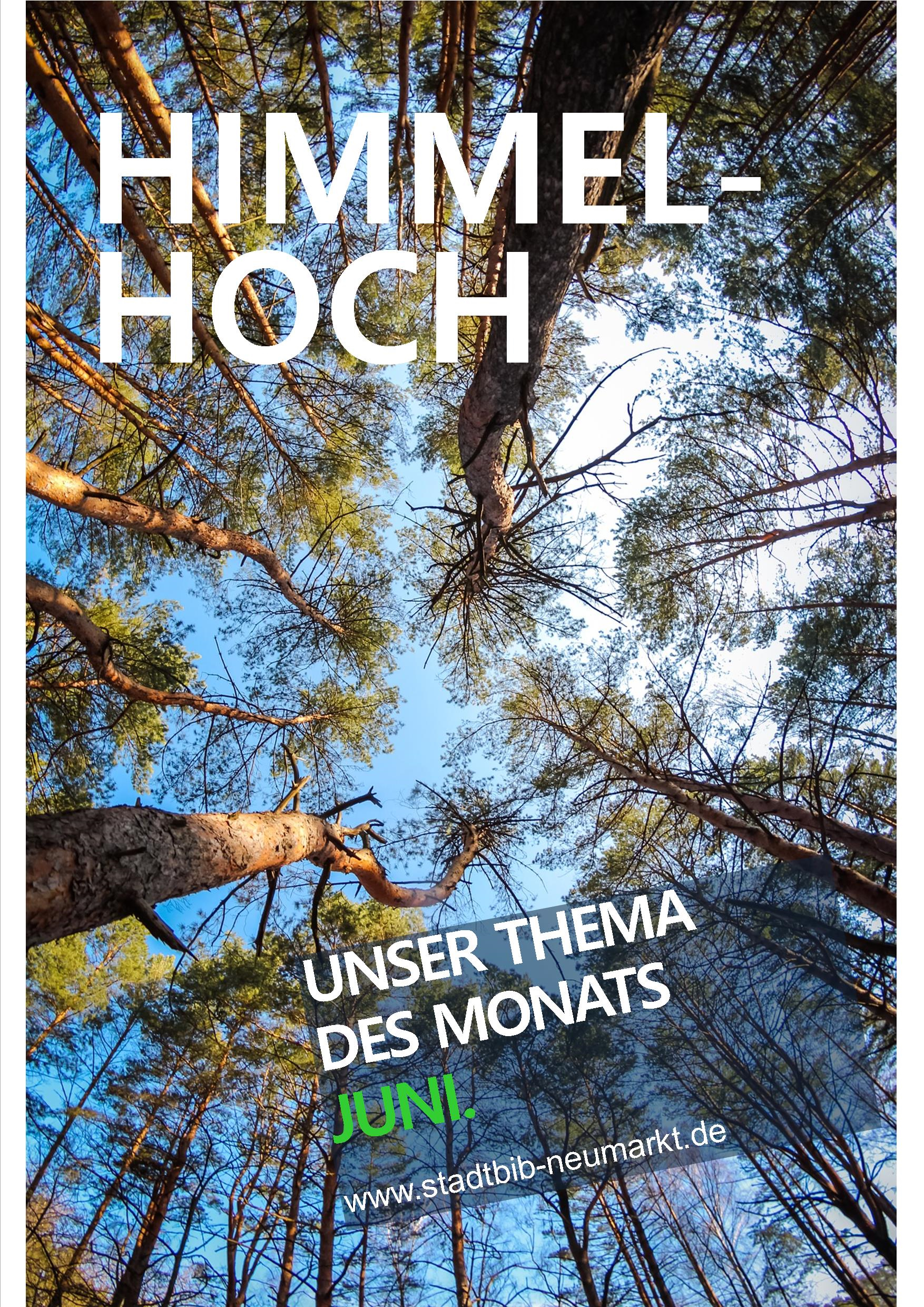 Thementisch in der Stadtbibliothek unter dem Motto: „Himmelhoch“
