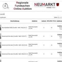 So sieht die Seite zur Neumarkter Auktion aus.JPG