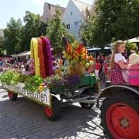 Erster Platz, OGV Rittershof.JPG