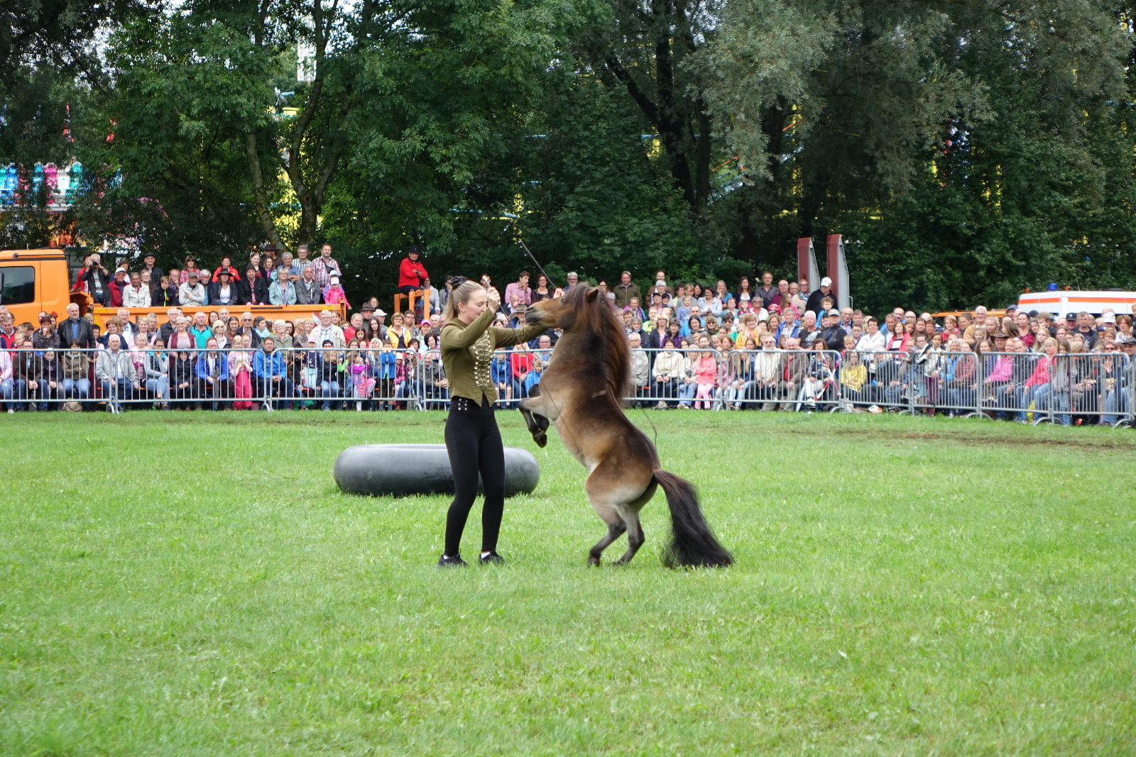 Pony-Dressur, Foto: Dr. Franz Janka Leider haben wir keinen Alternativtext zu diesem Bild, aber wir arbeiten daran.
