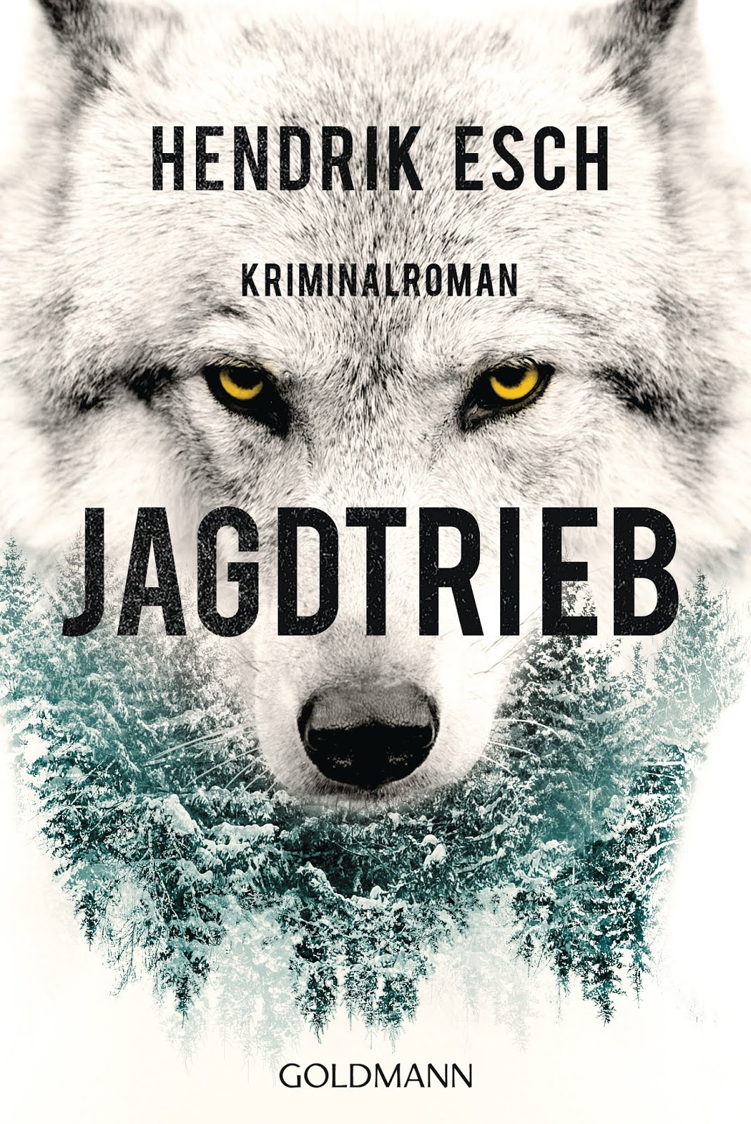 Buchcover.jpg (1) Leider haben wir keinen Alternativtext zu diesem Bild, aber wir arbeiten daran.