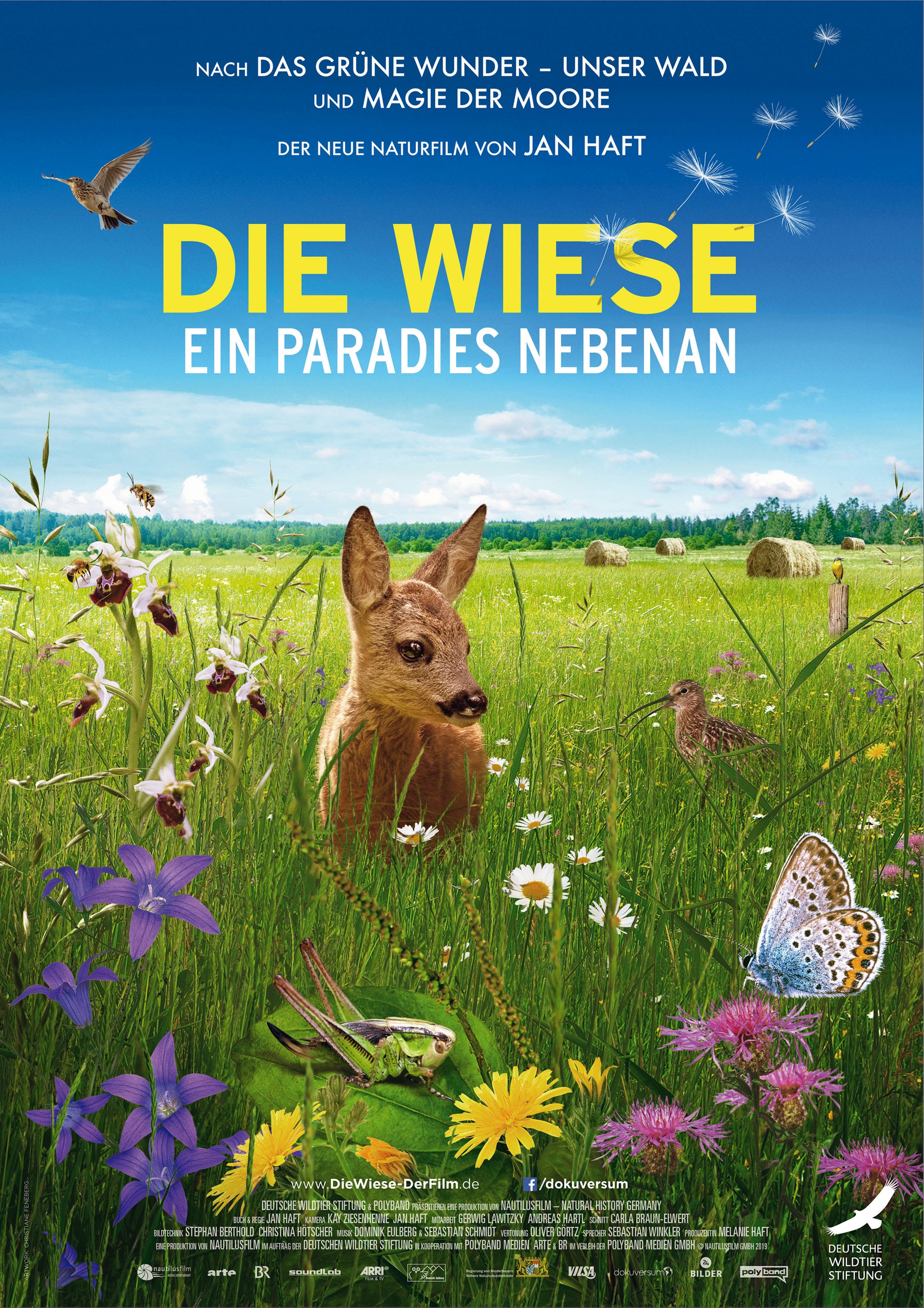 P2_Die Wiese.jpg Leider haben wir keinen Alternativtext zu diesem Bild, aber wir arbeiten daran.