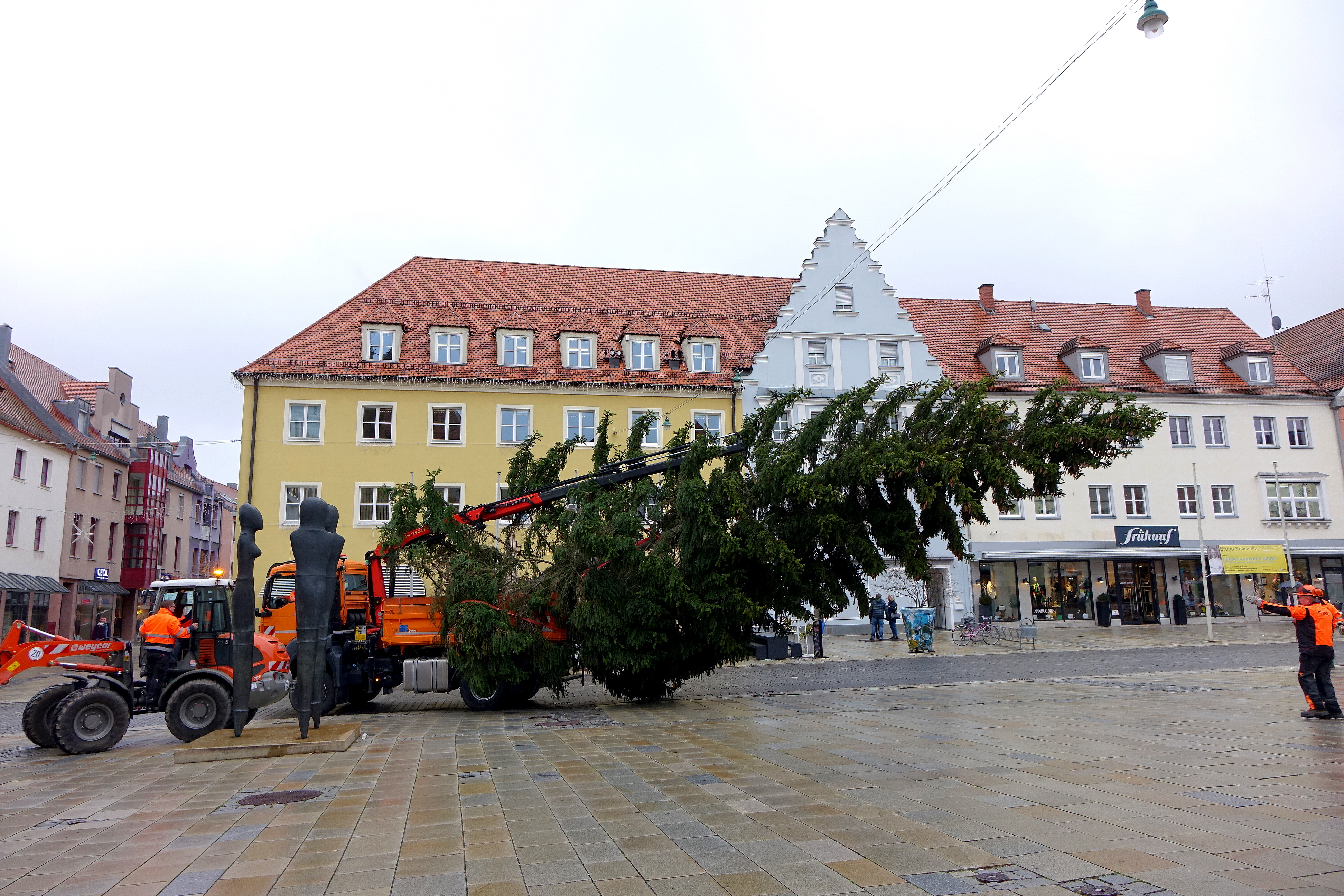 Baum wird angeliefert.JPG Leider haben wir keinen Alternativtext zu diesem Bild, aber wir arbeiten daran.
