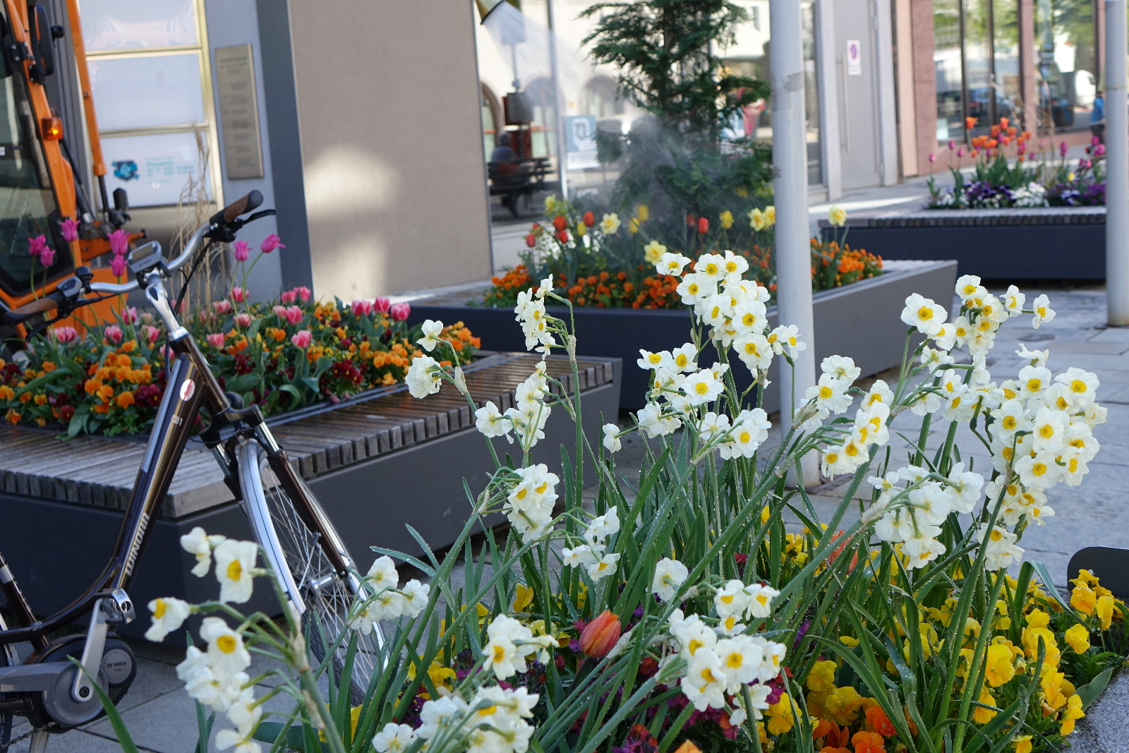 Schön bepflanzte Bereiche in der Innenstadt.jpg Leider haben wir keinen Alternativtext zu diesem Bild, aber wir arbeiten daran.
