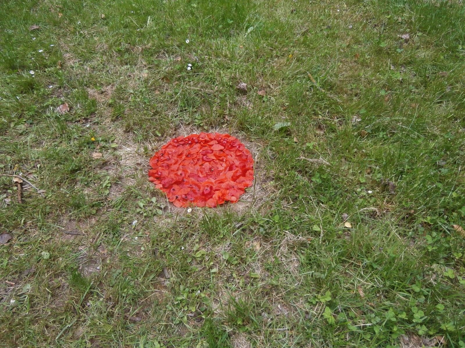 Leider haben wir keinen Titel zu diesem Bild. Wir arbeiten daran und bitten um Ihr Verständnis. Leider haben wir keinen Alternativtext zu diesem Bild, aber wir arbeiten daran.