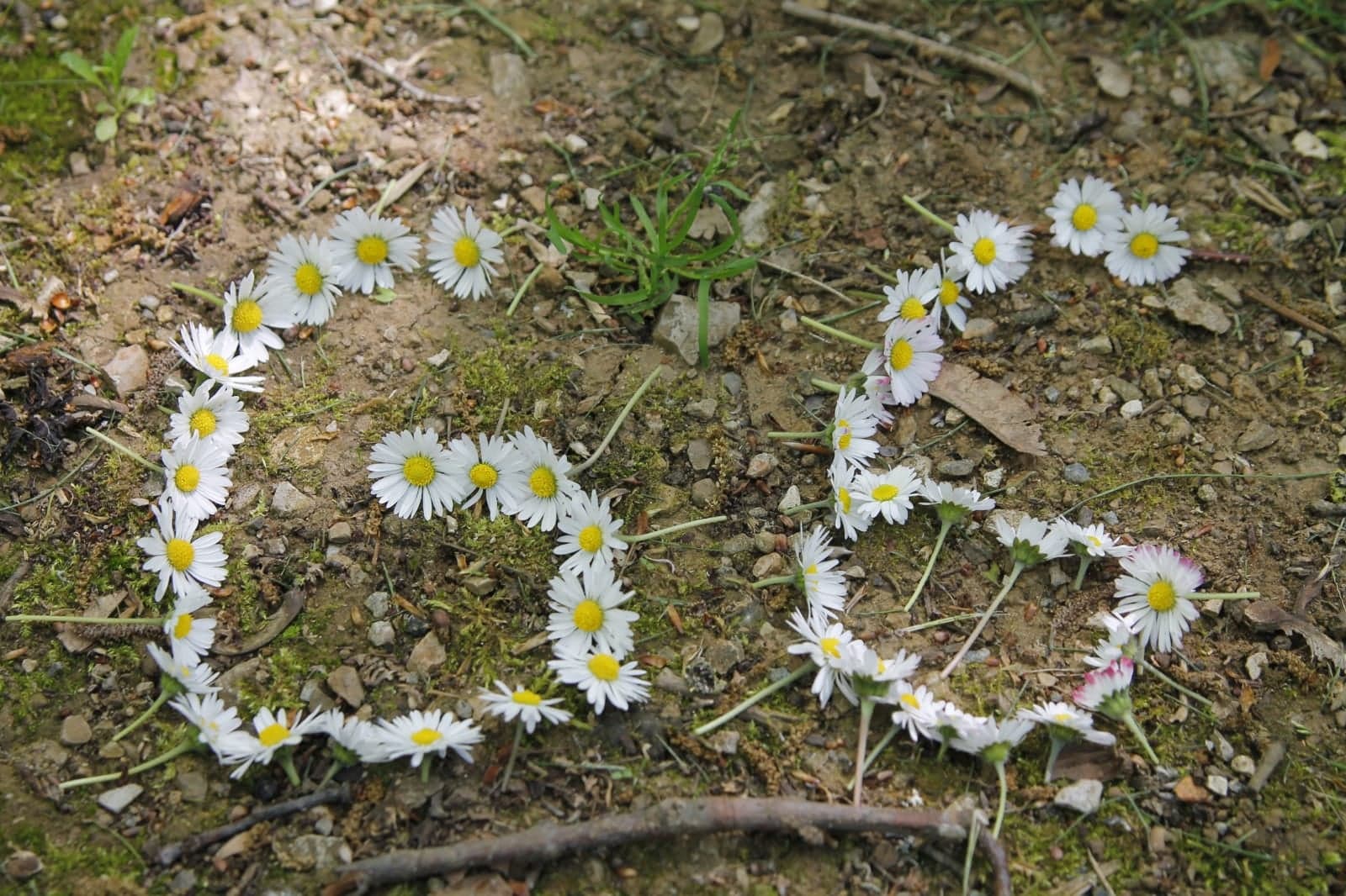 Leider haben wir keinen Titel zu diesem Bild. Wir arbeiten daran und bitten um Ihr Verständnis. Leider haben wir keinen Alternativtext zu diesem Bild, aber wir arbeiten daran.