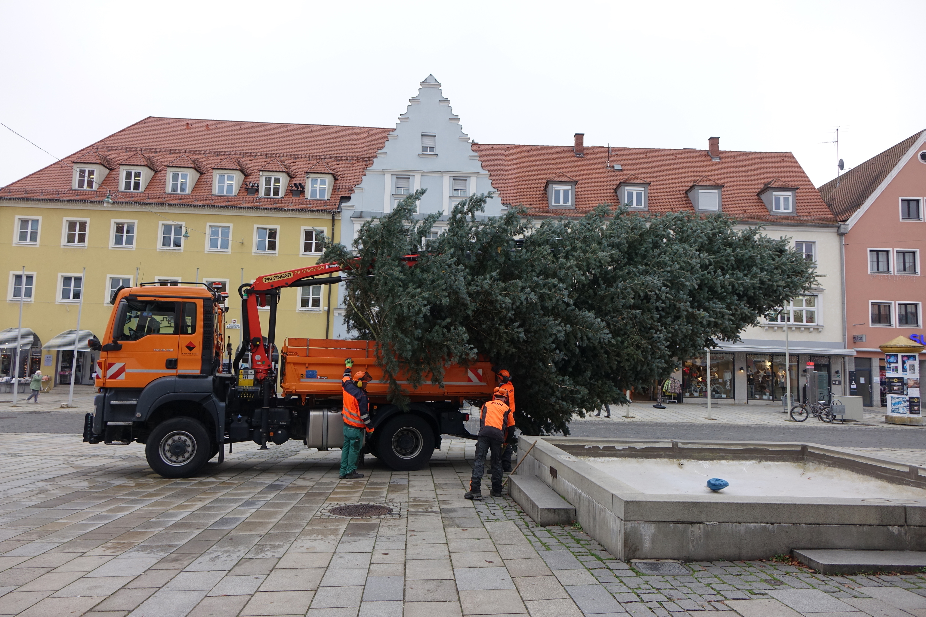 Der Christbaum ist da Leider haben wir keinen Alternativtext zu diesem Bild, aber wir arbeiten daran.