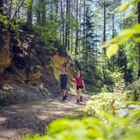 Wanderweg Zeugenbergrunde_Neumarkt_Foto Dietmar Denger.jpg