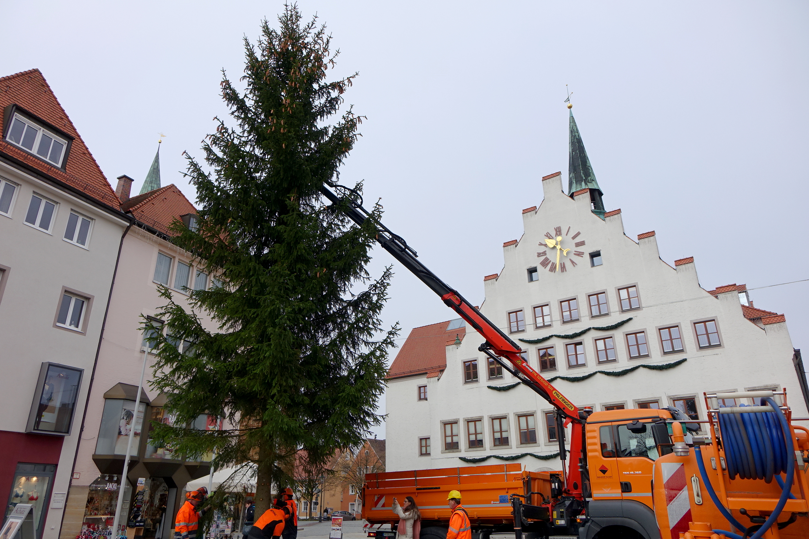 Stadt sucht Christbäume für das Stadtgebiet