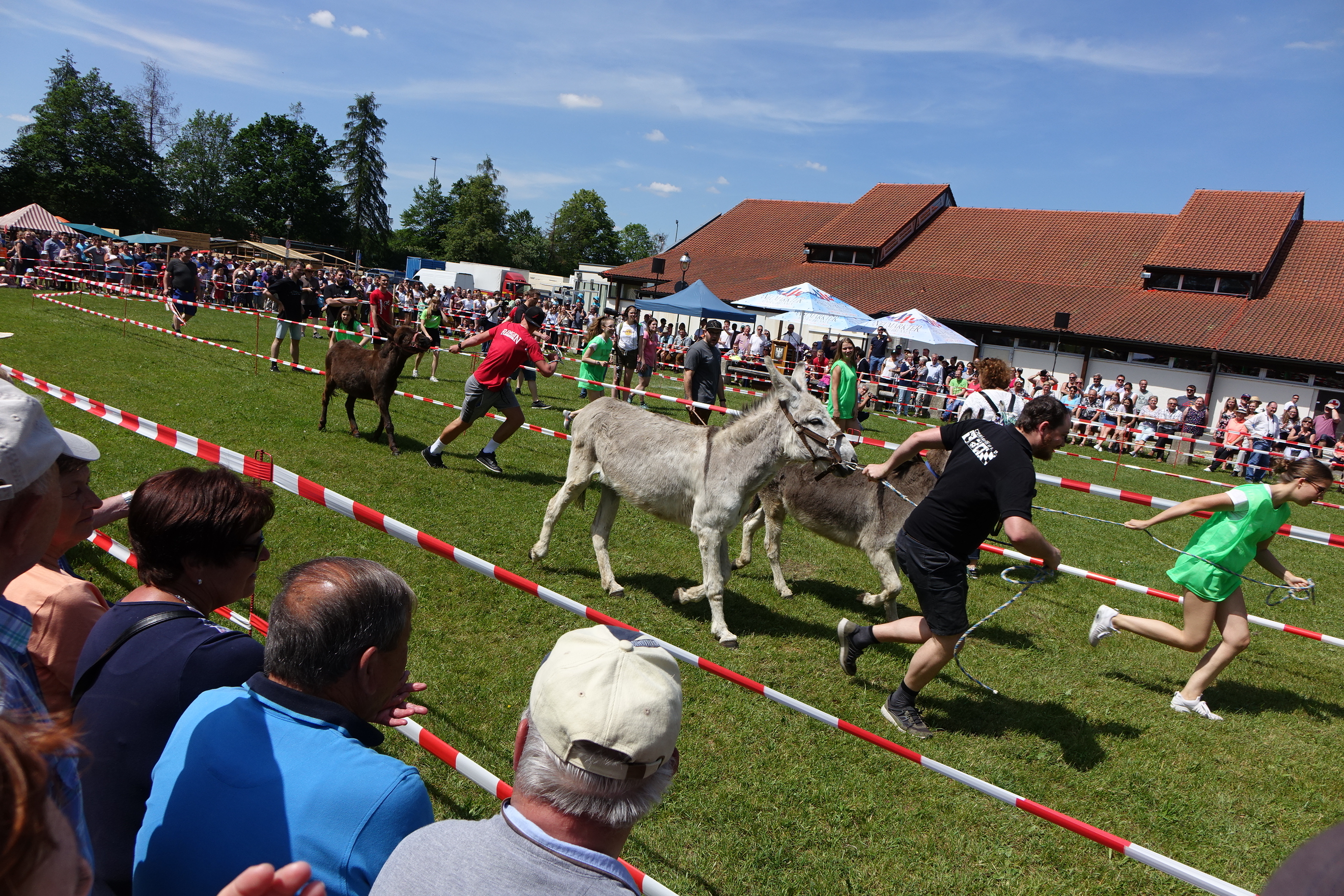 Teilnehmergruppen für das Eselrennen beim Frühlingsfest gesucht