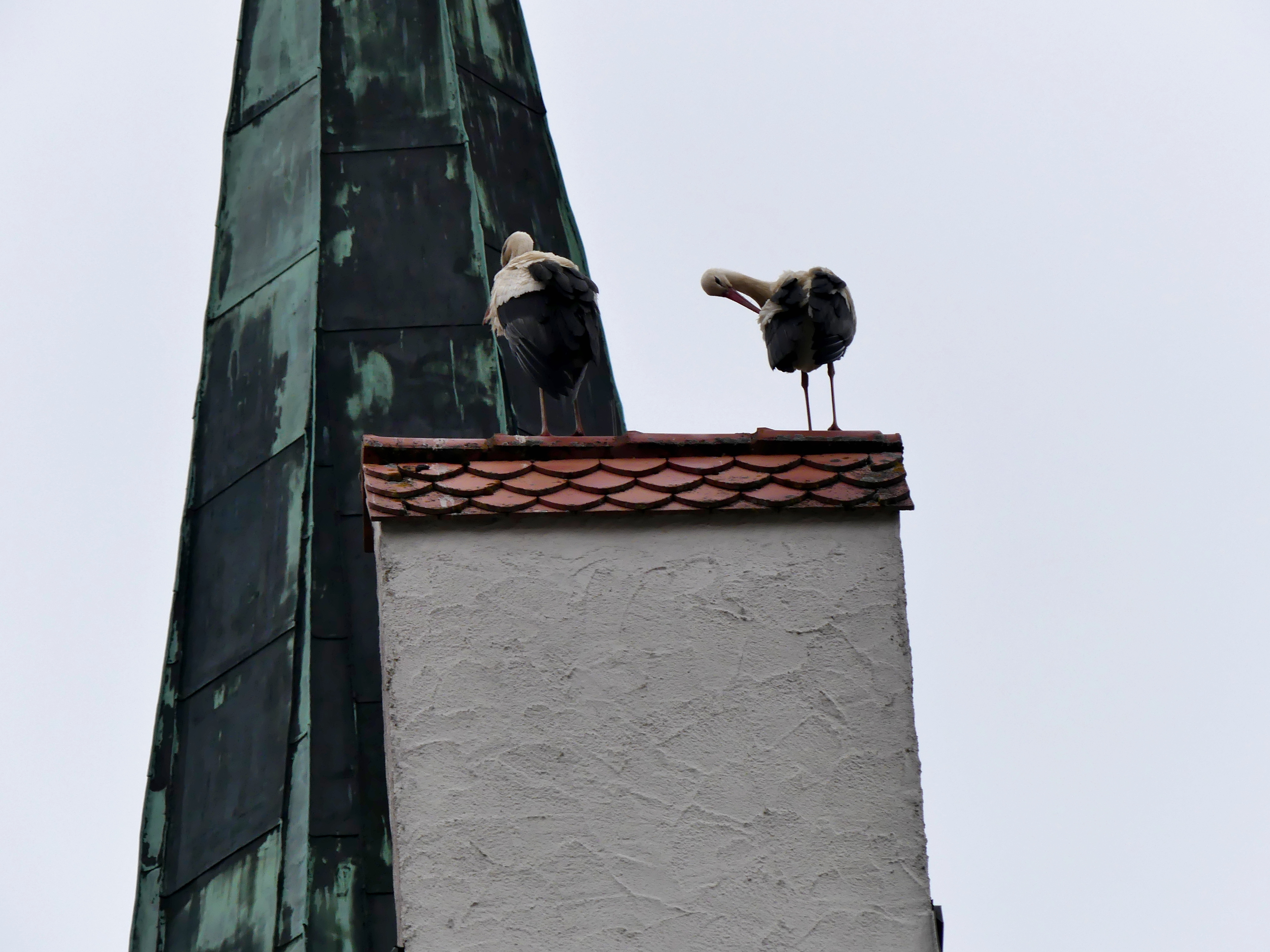 Auf Durchreise oder auf Wohnungssuche?