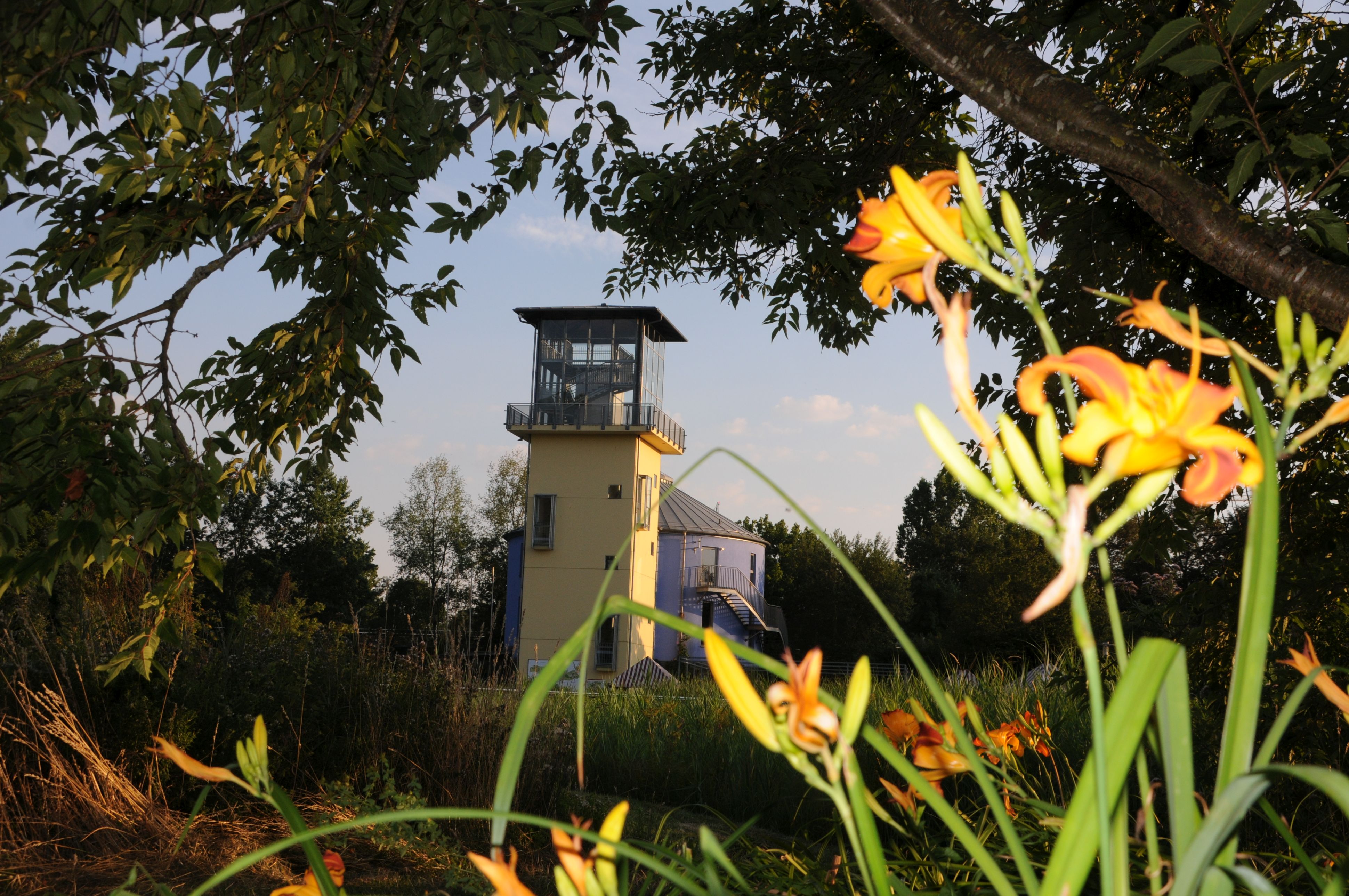 „Sommer im Park“ - Hexen-Gebräu zur Sonnwendzeit