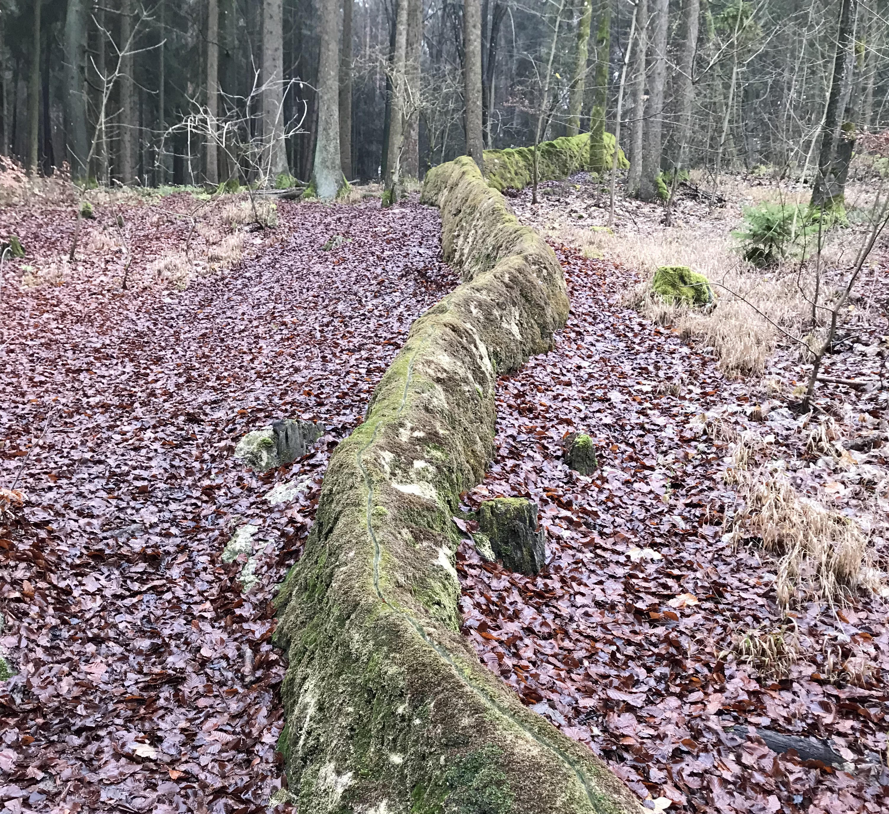 Wandertour zur Steinernen Rinne & Hoher Brunnen