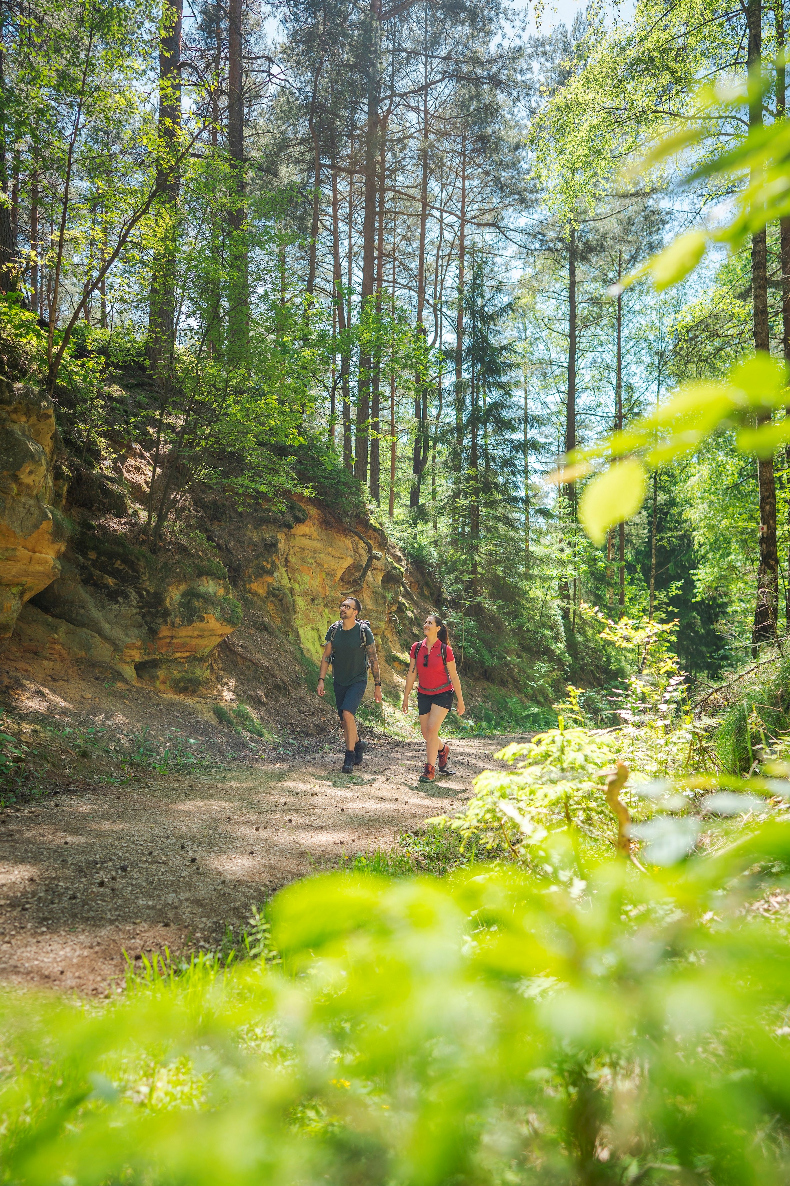 Jetzt steht bei der Wandertour „Zeugenbergrunde Teil II“ auf dem Programm