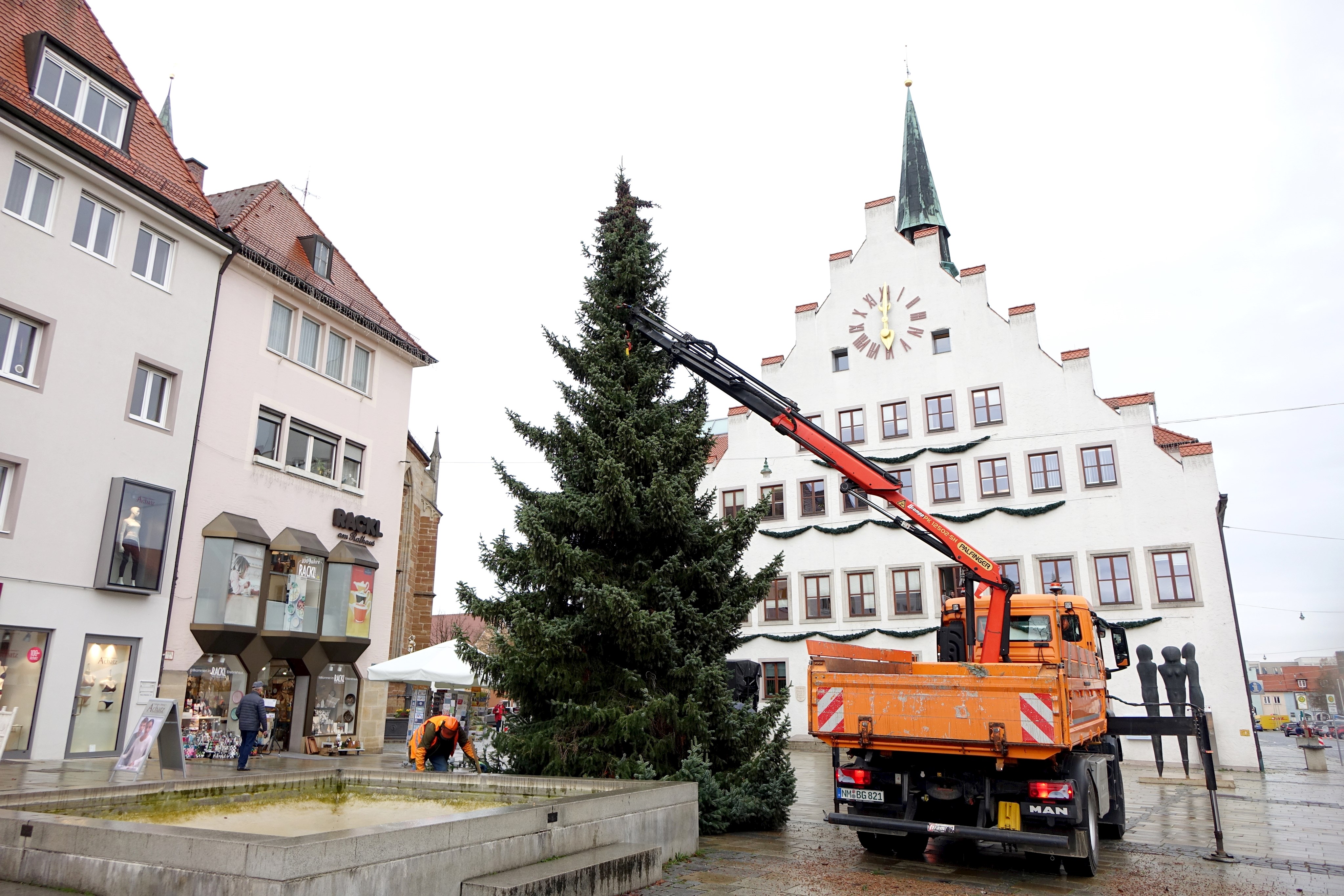 Stadt sucht Christbäume für das Stadtgebiet