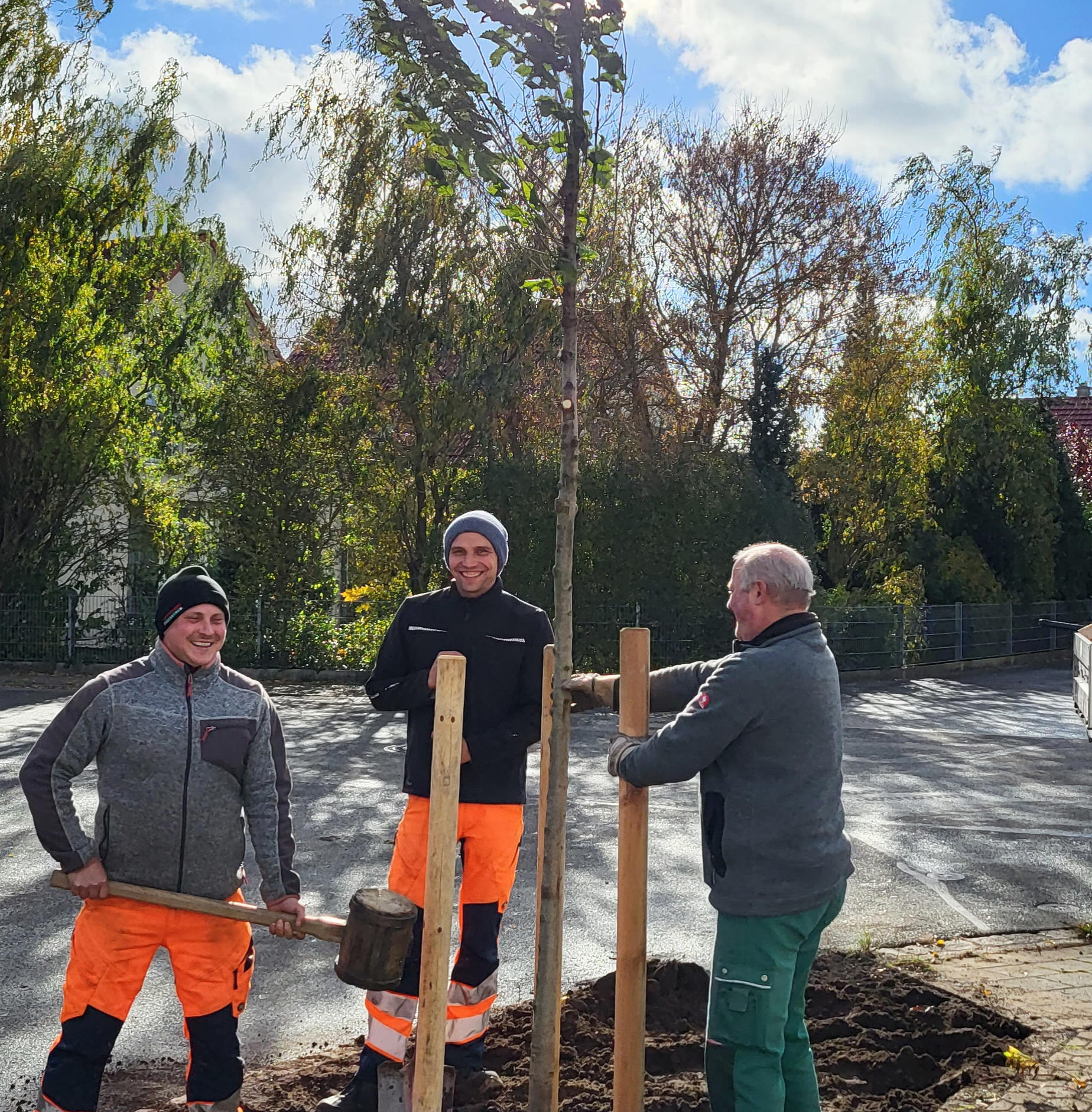 Herbstpflanzungen der Stadt laufen 