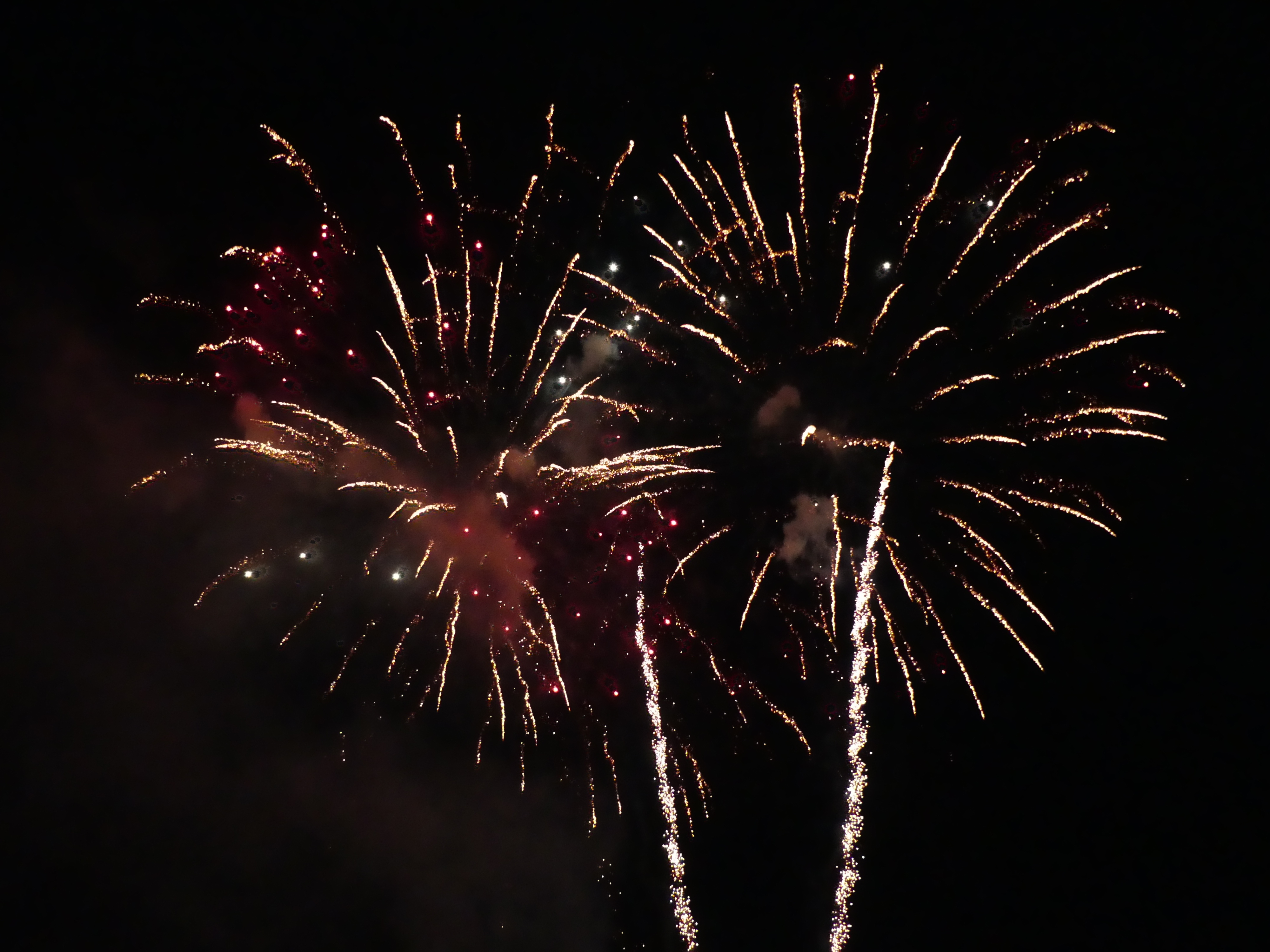 Appell an die Feiernden zu Silvester