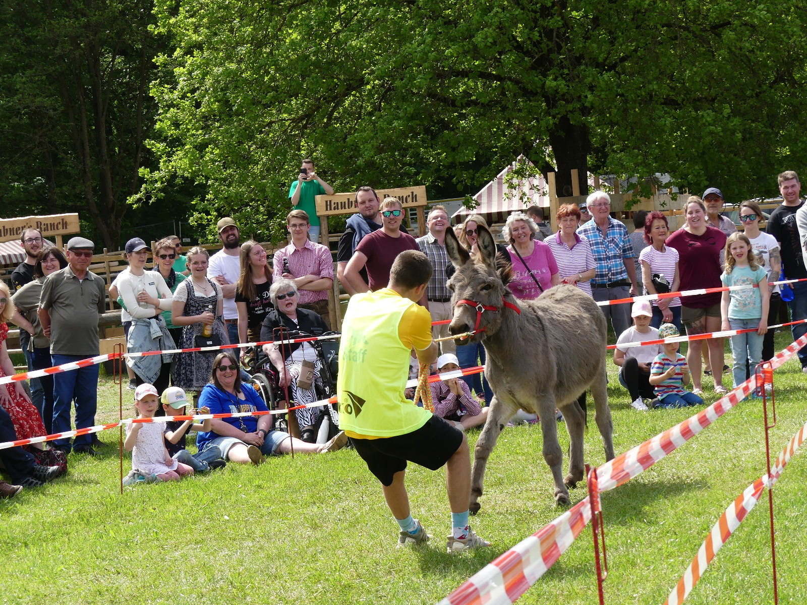 Teilnehmergruppen für das Eselrennen beim Frühlingsfest gesucht